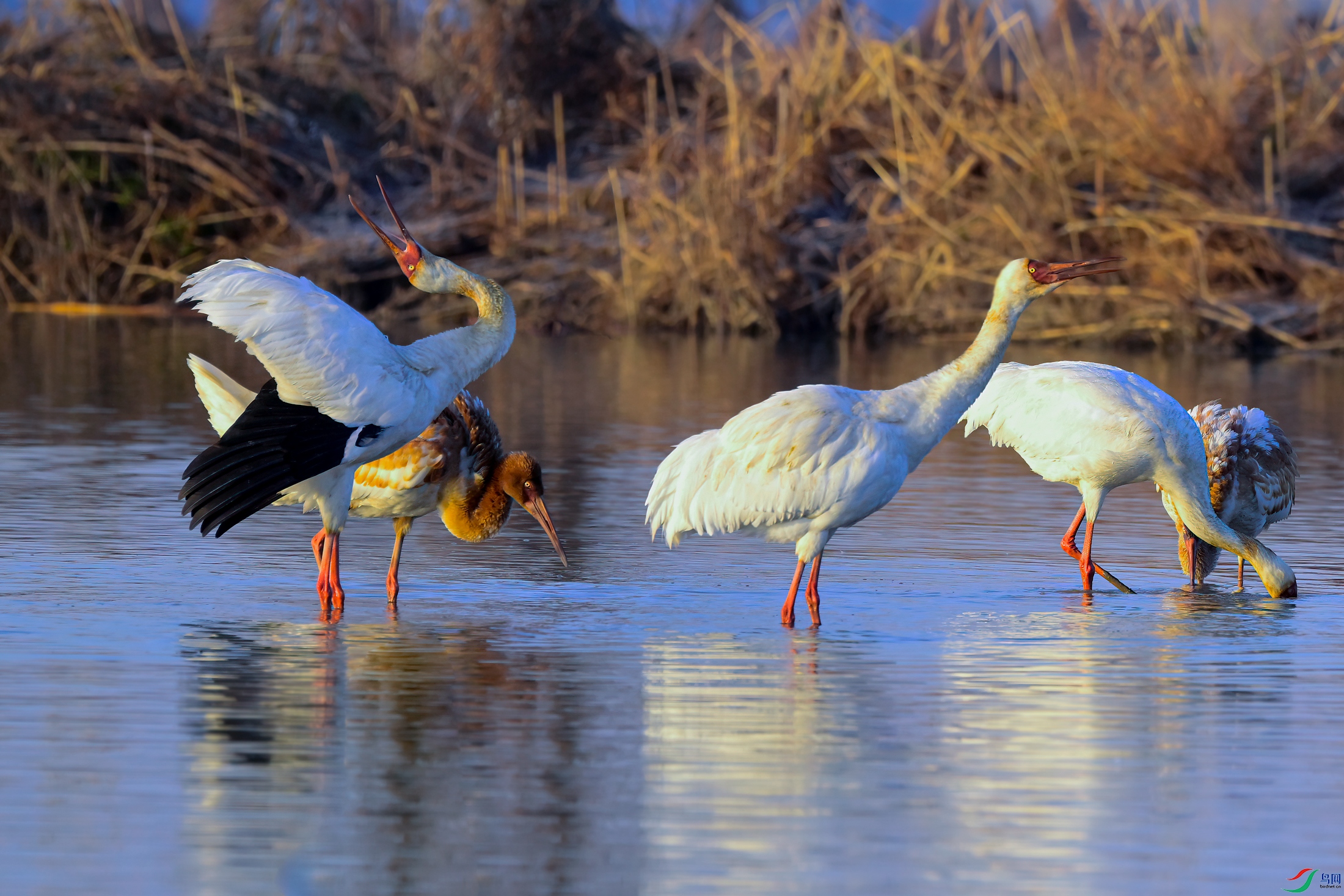 _DSC2367x.jpg