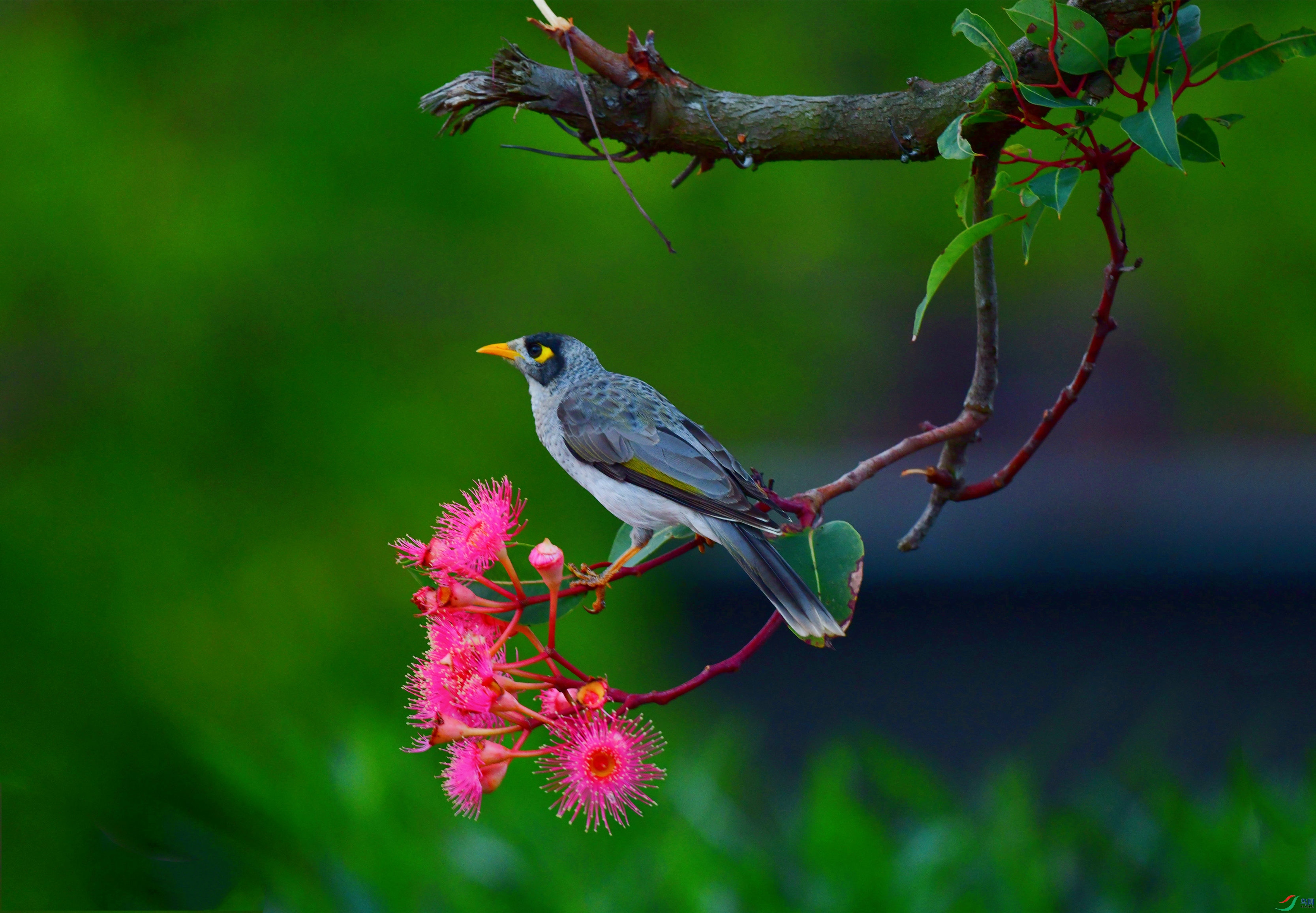DSC_6011_��ͼ��_����212.jpg