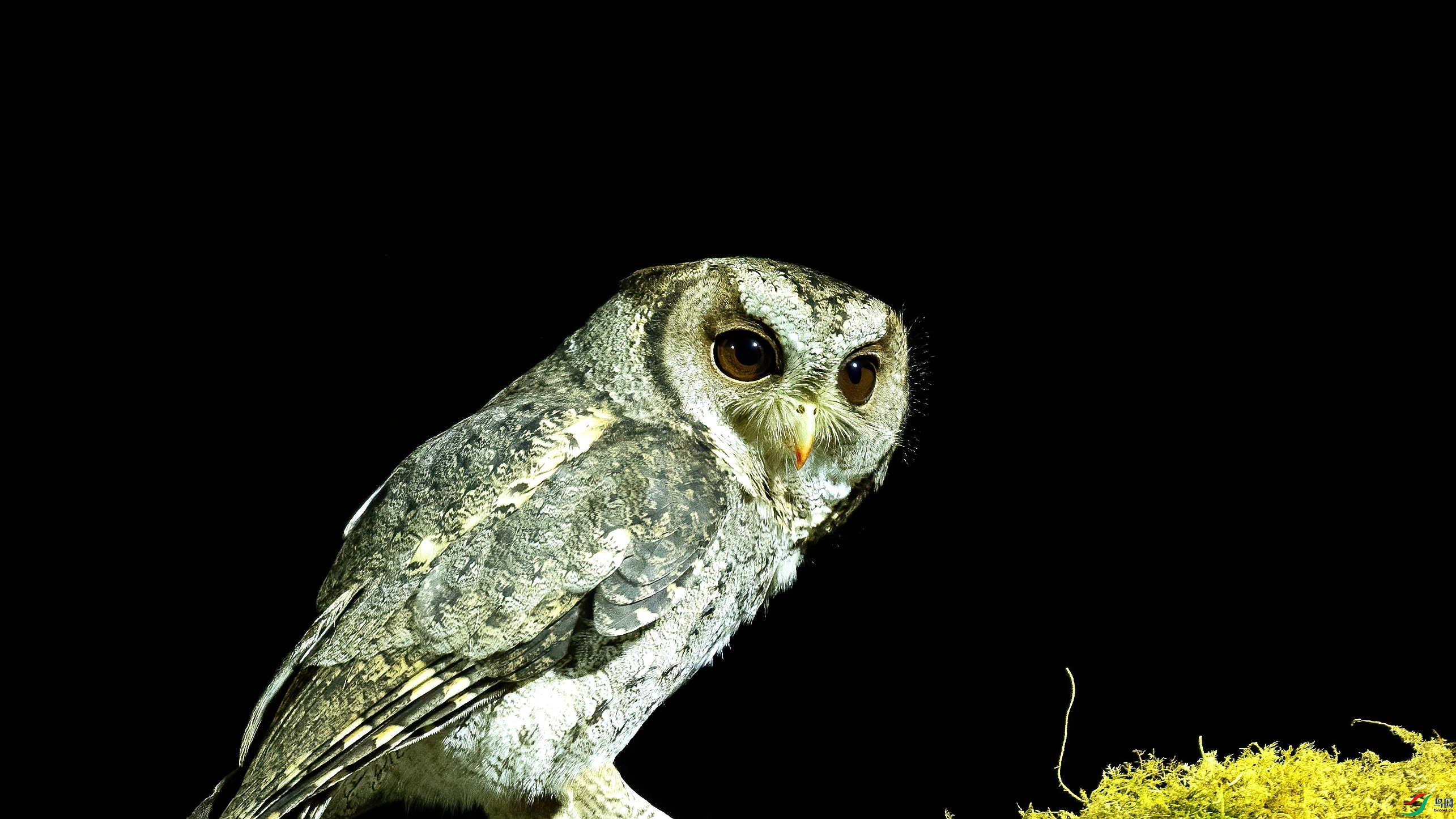 DSC_7636.jpg