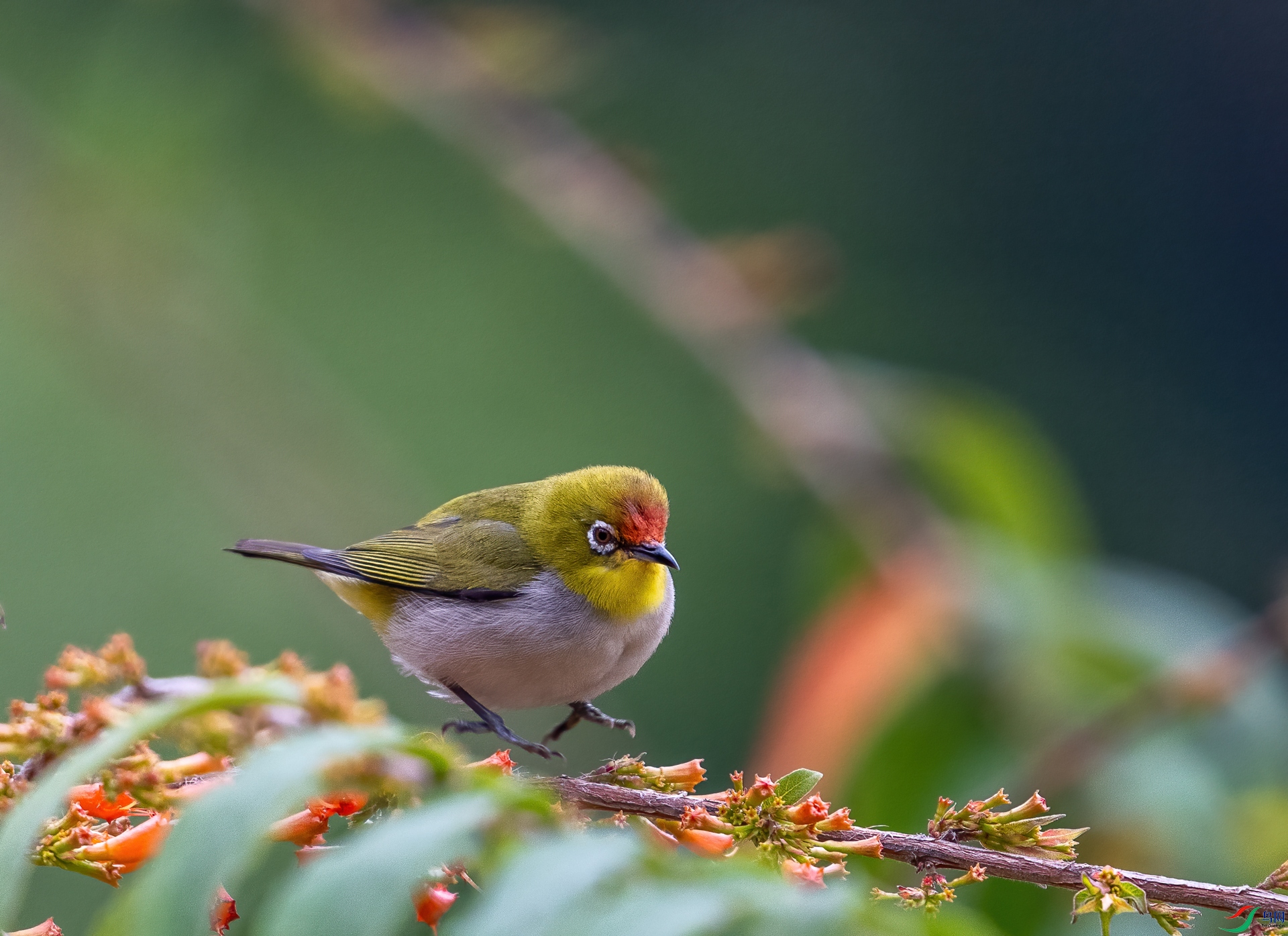DSC_8834-1.jpg