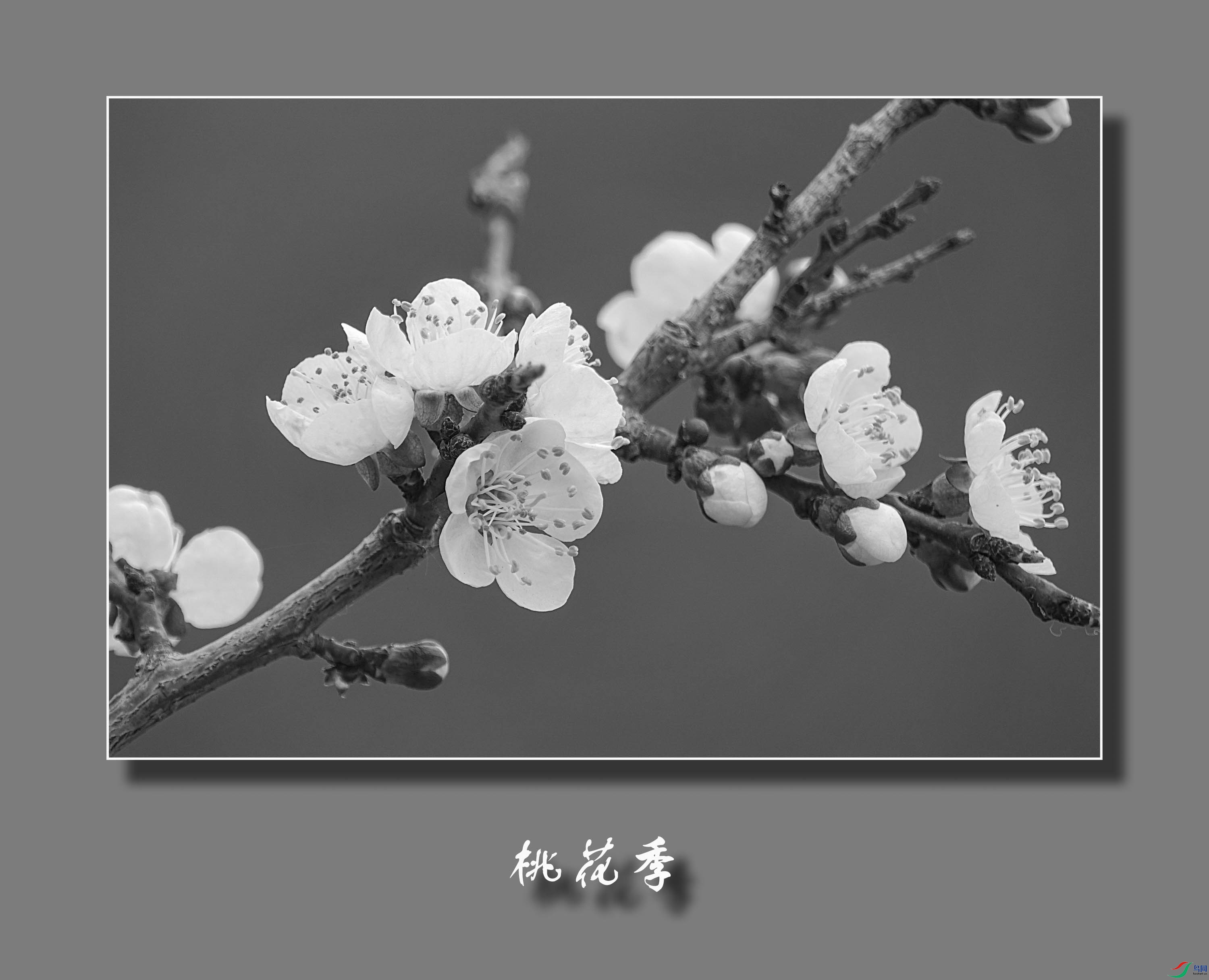 DSC08465.jpg