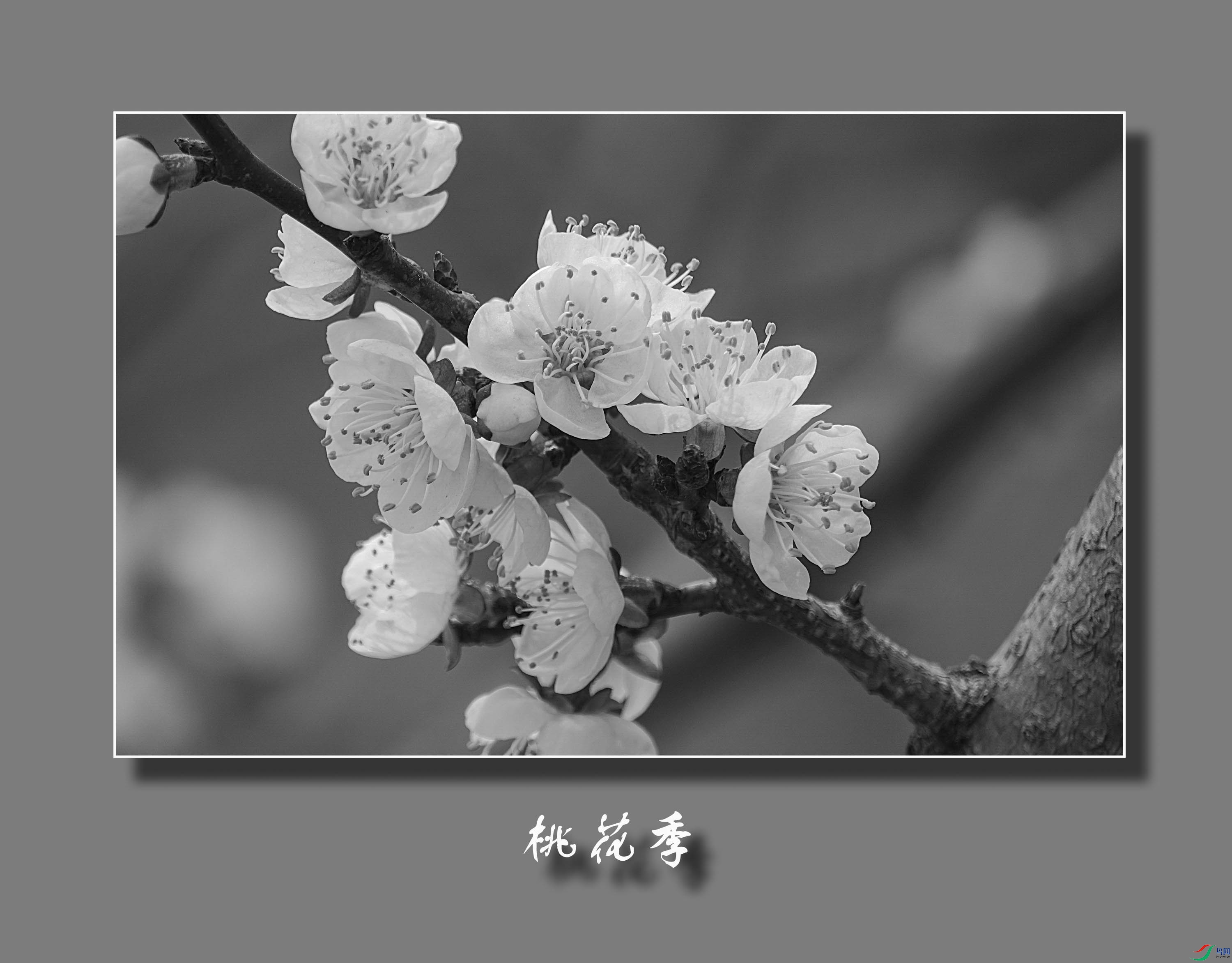 DSC08548.jpg