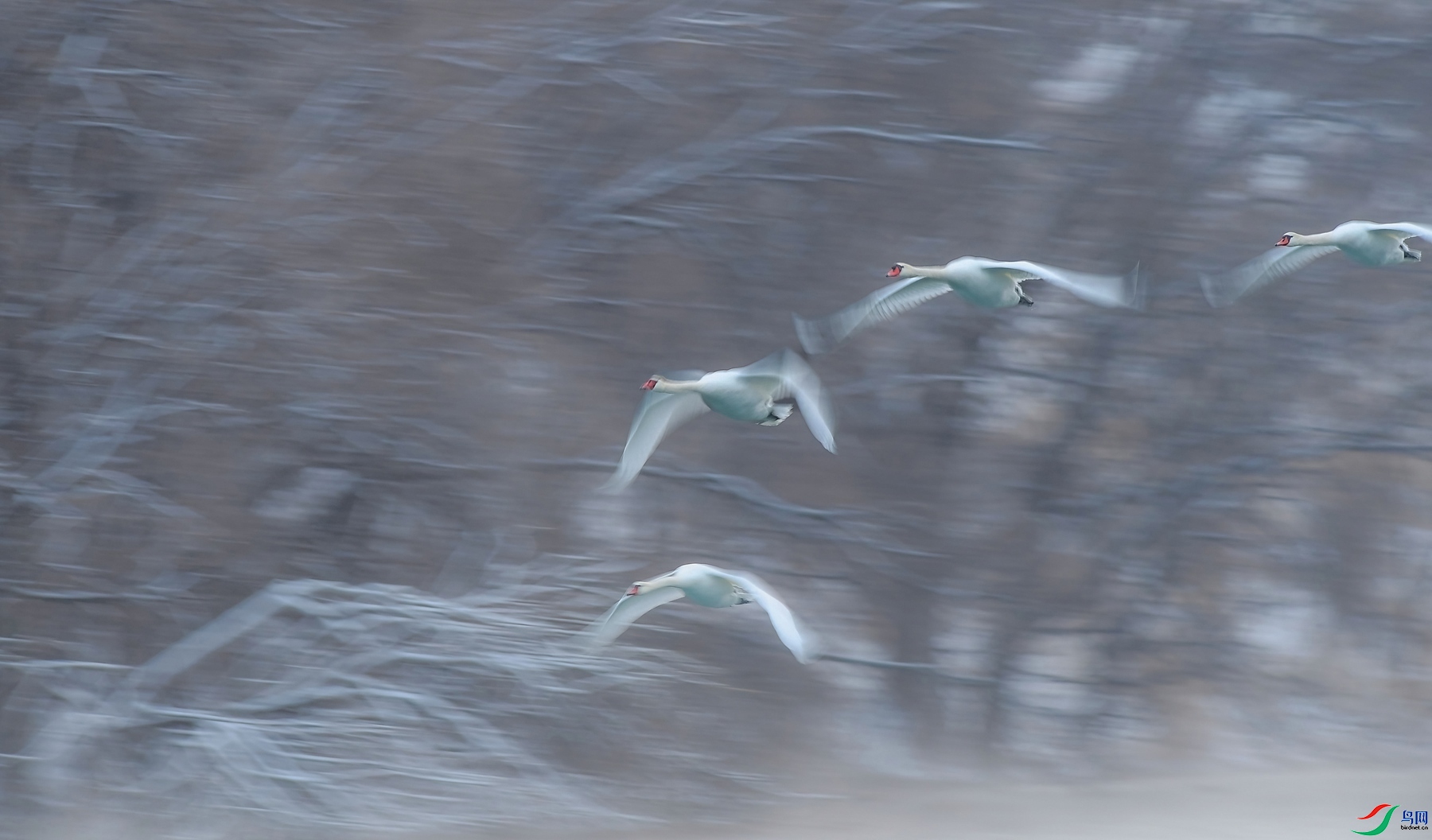 2.24����ͬ��yy��ʦ��Ʒ   ���.������� ��ף���ٻ��Ա������.jpg