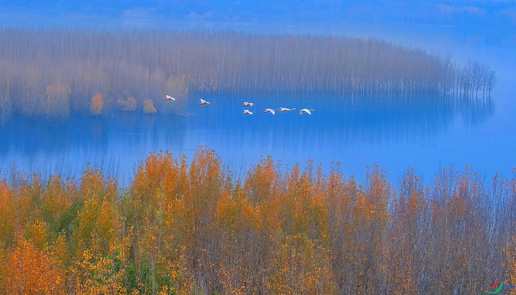 2.26�سǻ�����ʦ��Ʒ   �����ɫ�� ��ף���ٻ���Ӱʦ������.jpg