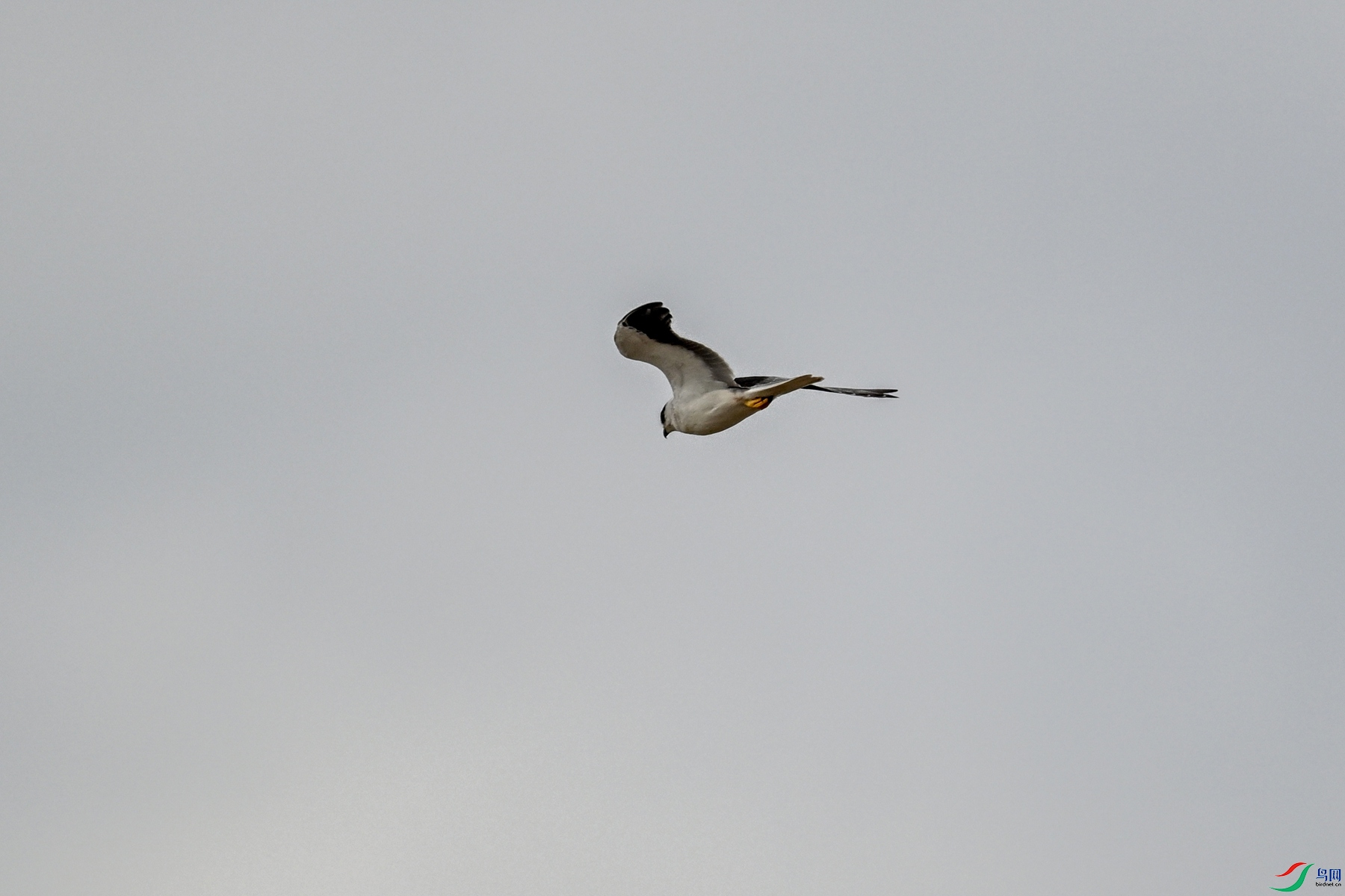 DSC_4942.JPG