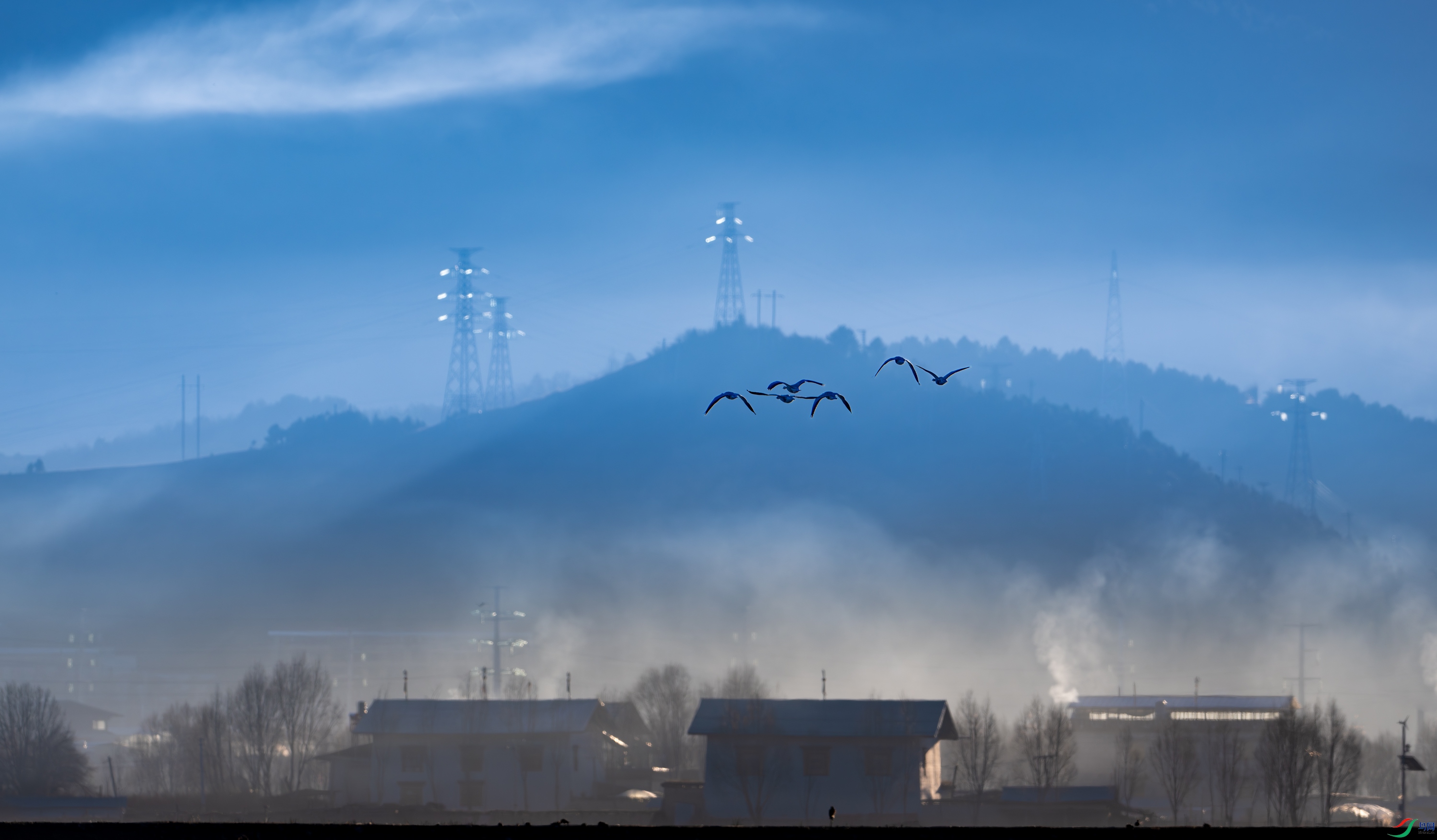 DSC_5275-����ǿ-NR-11.jpg