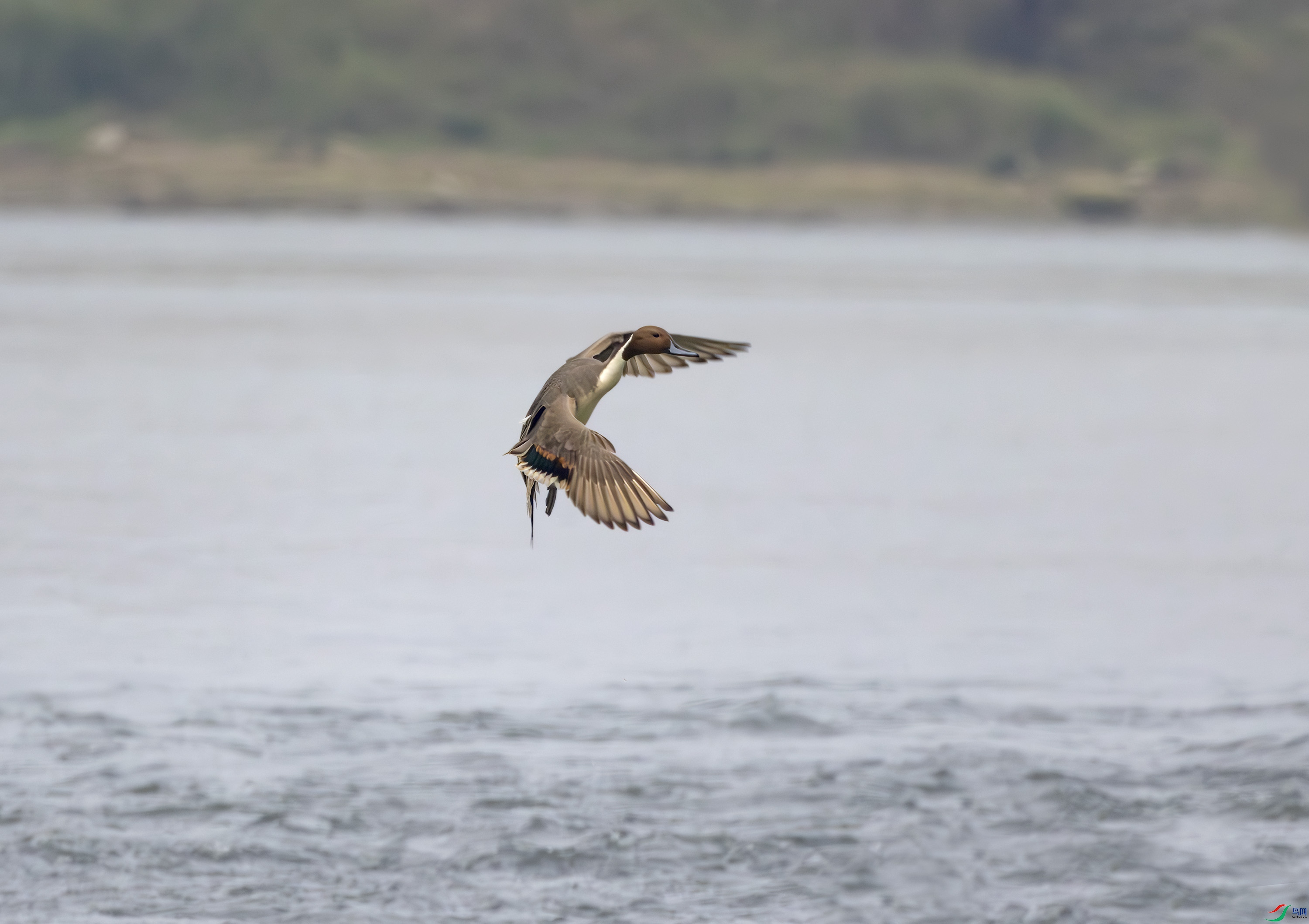 2I1A0973-����ǿ-NR ����.jpg