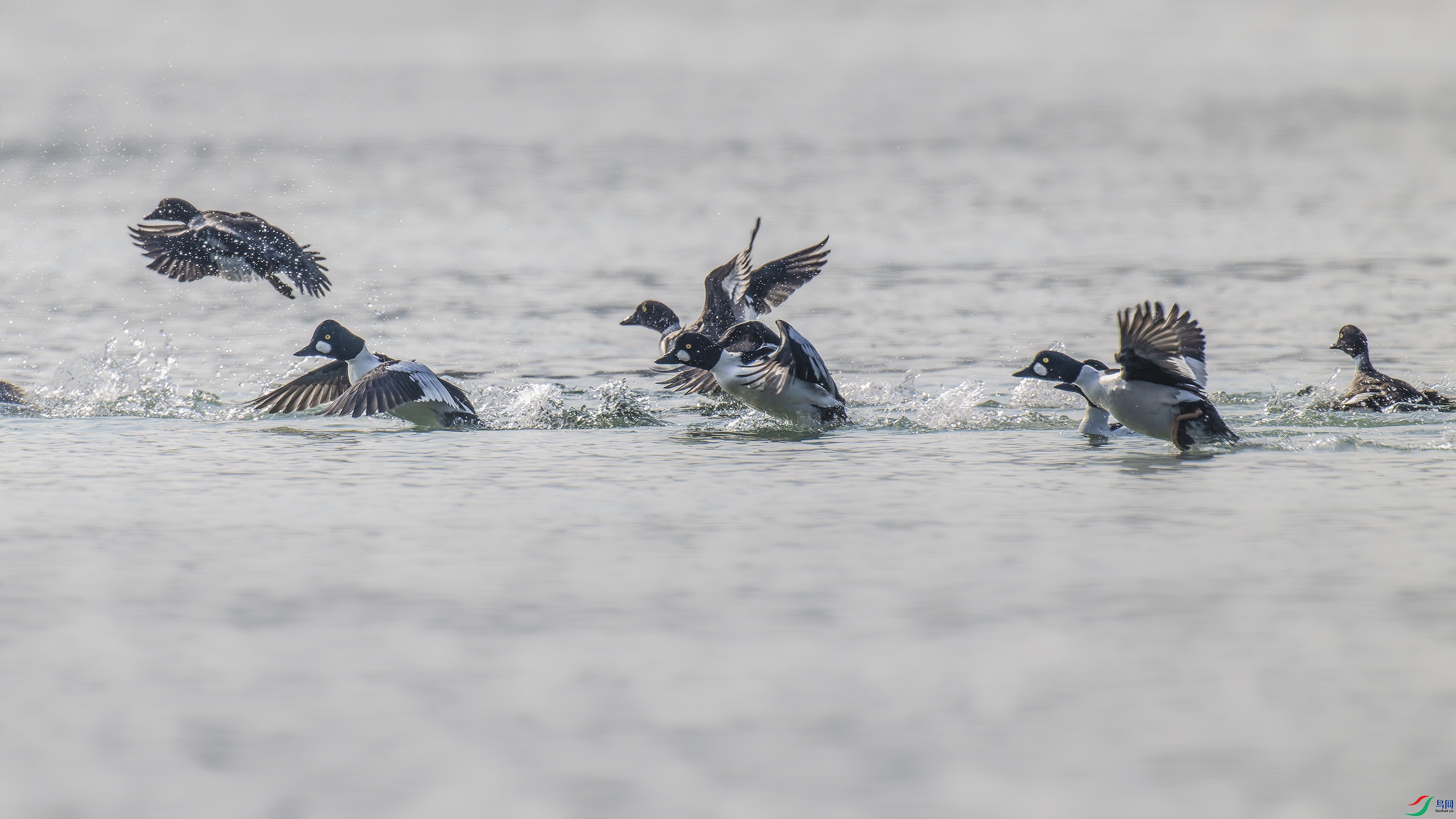DSC_4465_DxO.jpg