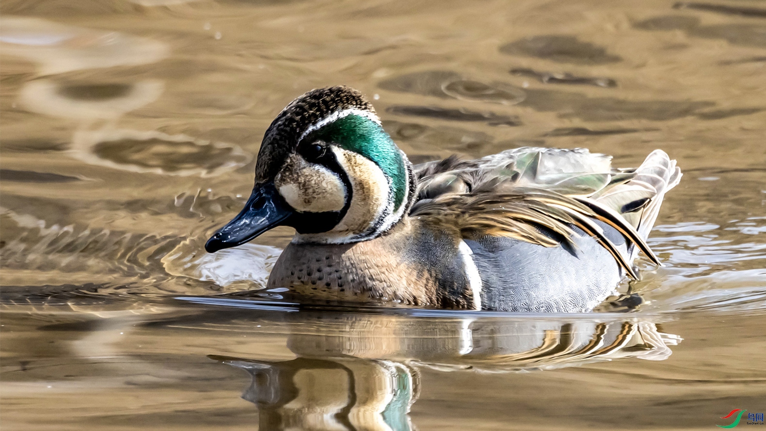 96 ����Ѽ OK ����.jpg