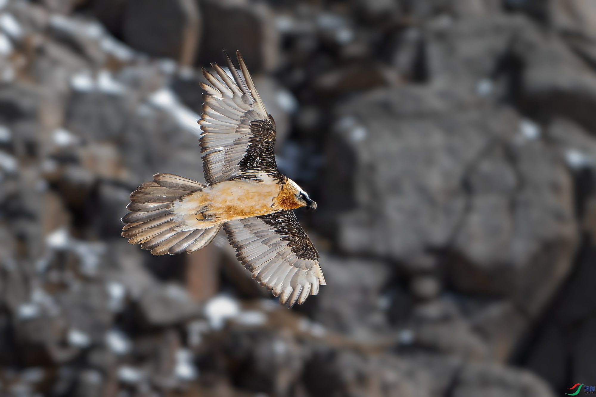 DSC_8326.jpg