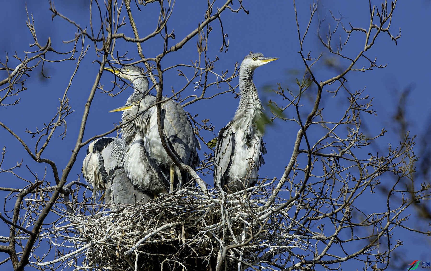 ���� (8)-1.jpg