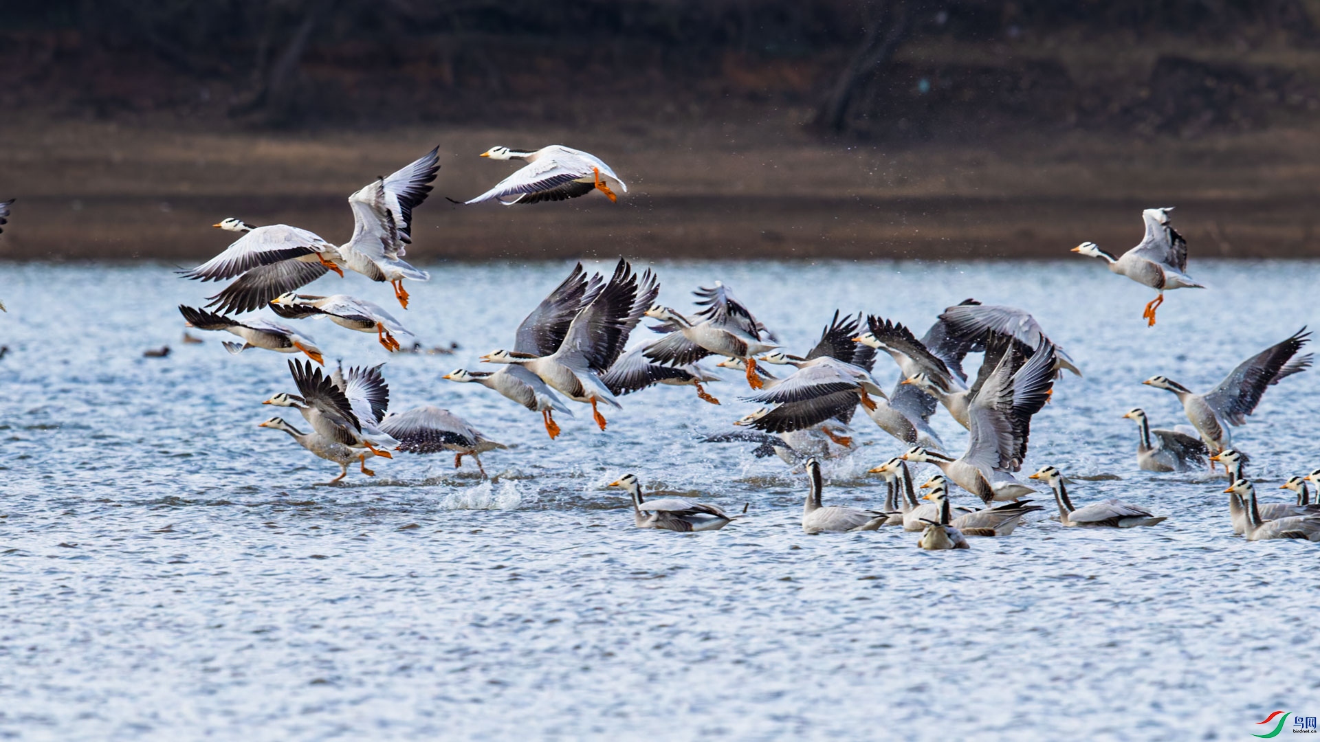 _R2I5041-CR2_DxO_DeepPRIMEXD-2-1.jpg