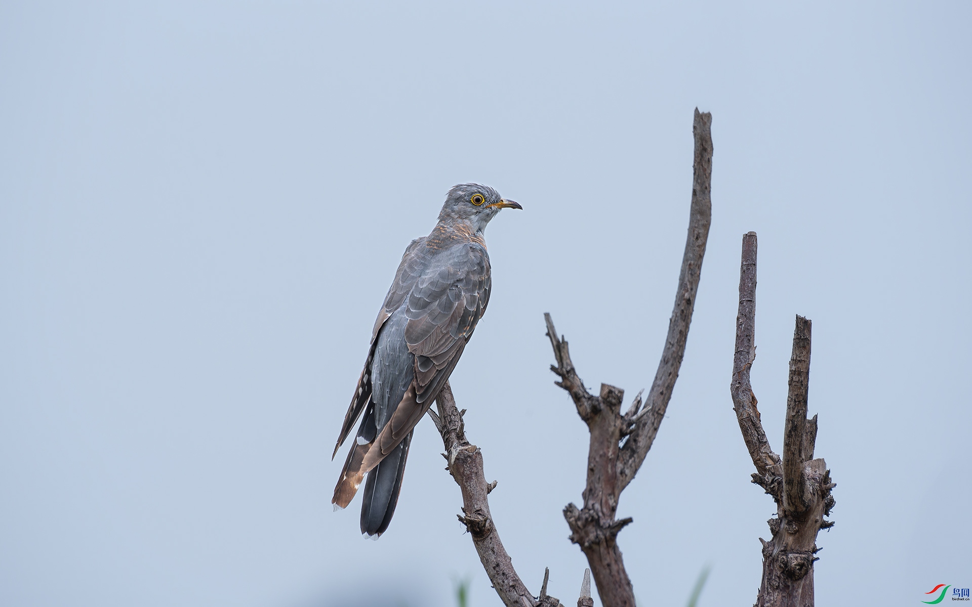 DSC_3524.jpg