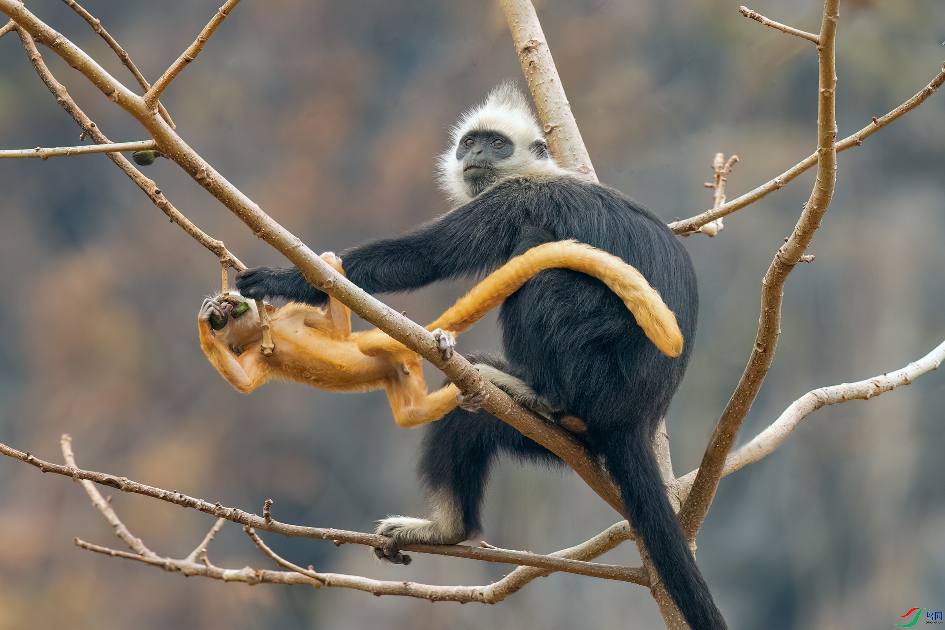 B86I8925 _����.jpg