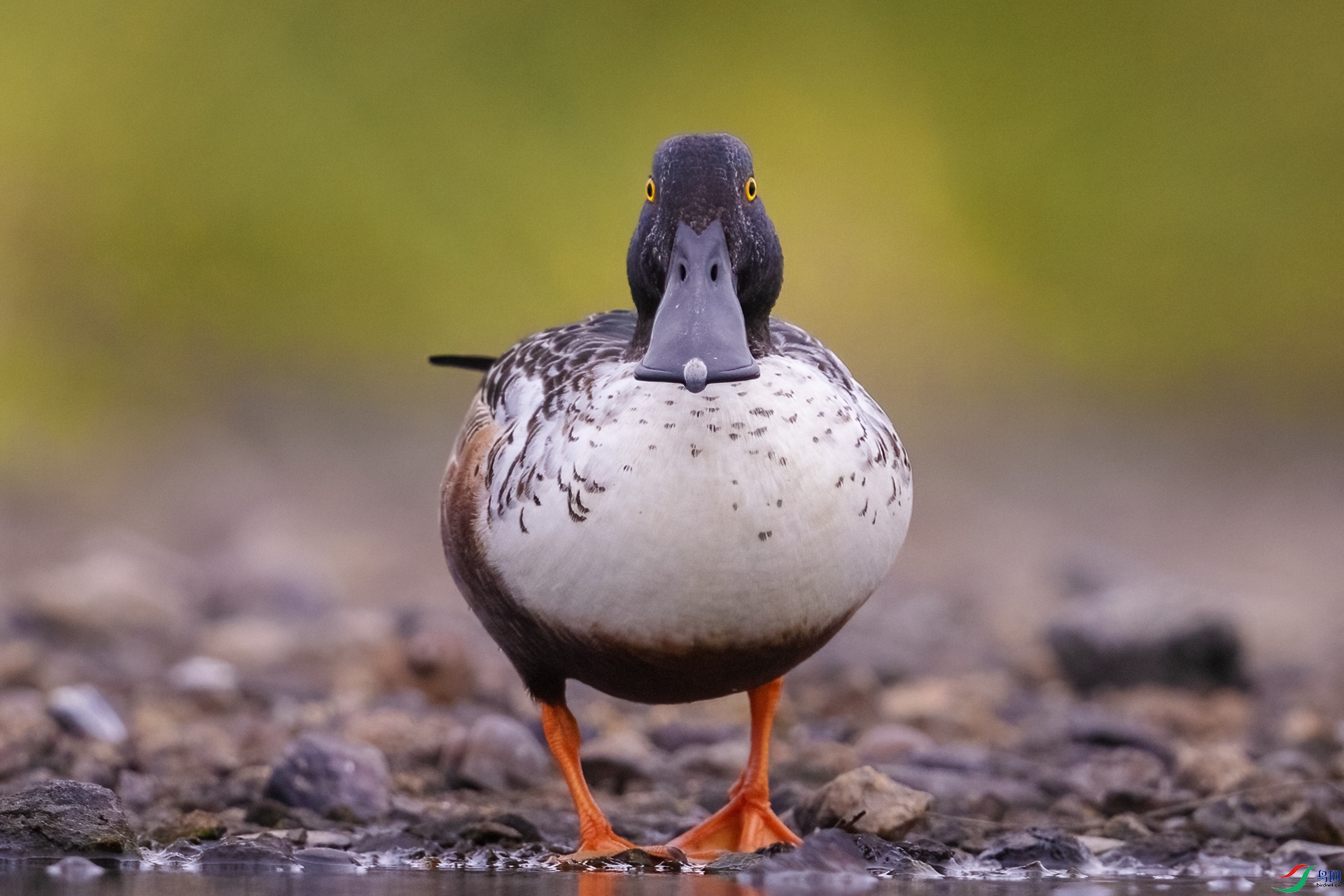 A75A9142-�༭ ����.jpg