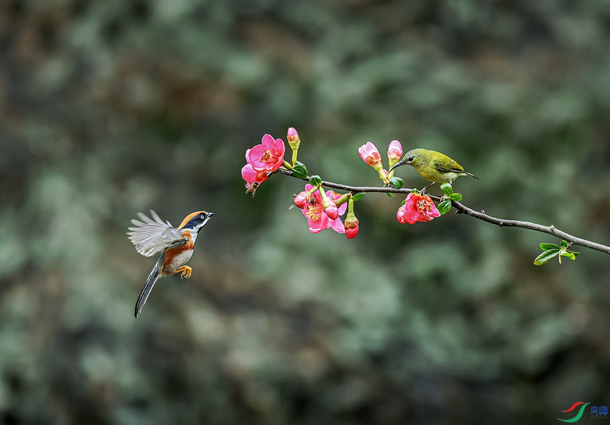 DSC_5130.jpg