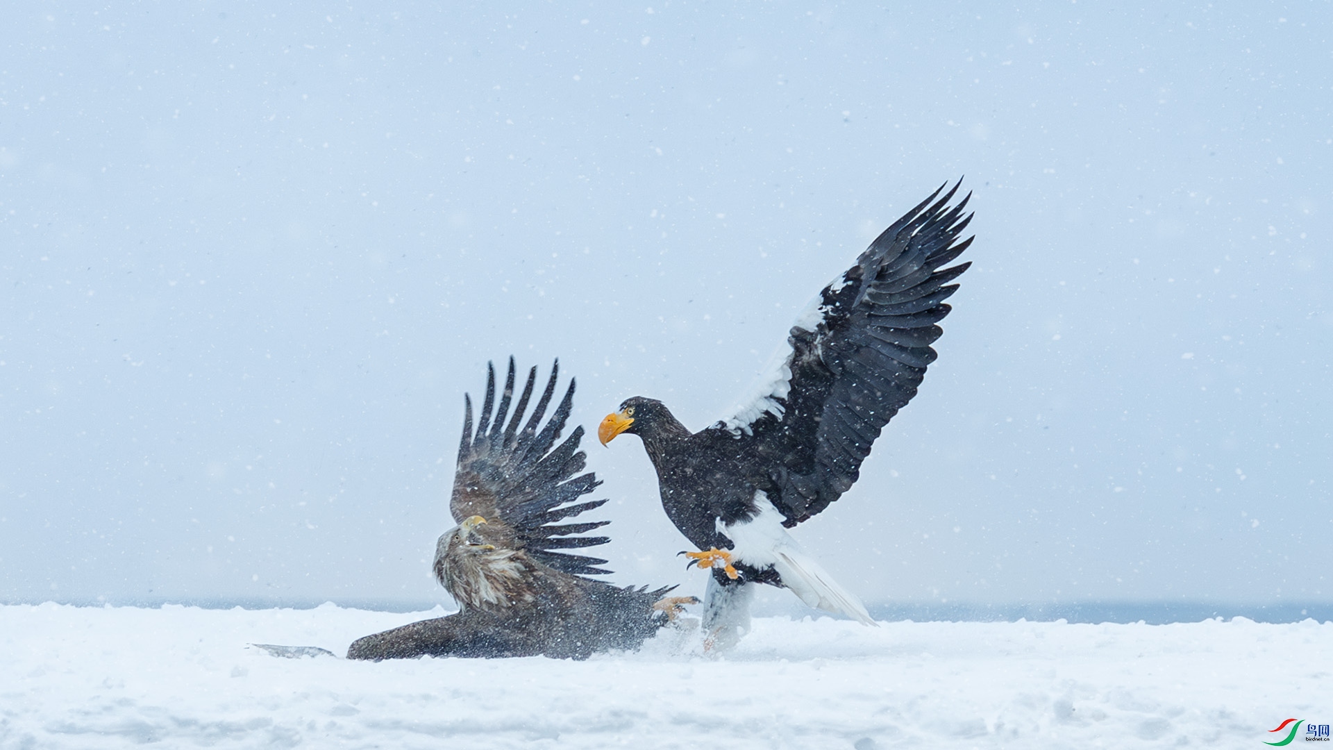 ˭������