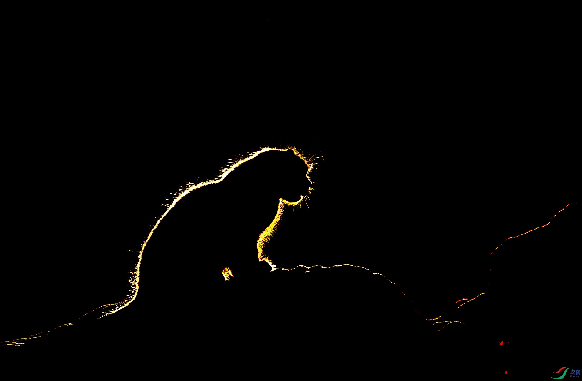 _CYG4593-NEF_DxO_DeepPRIMEXD.jpg