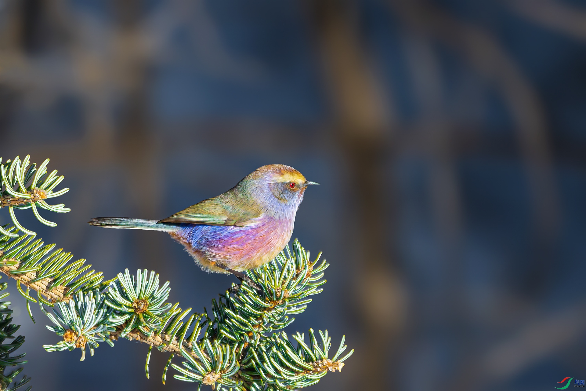 DSC_4979 ����.jpg