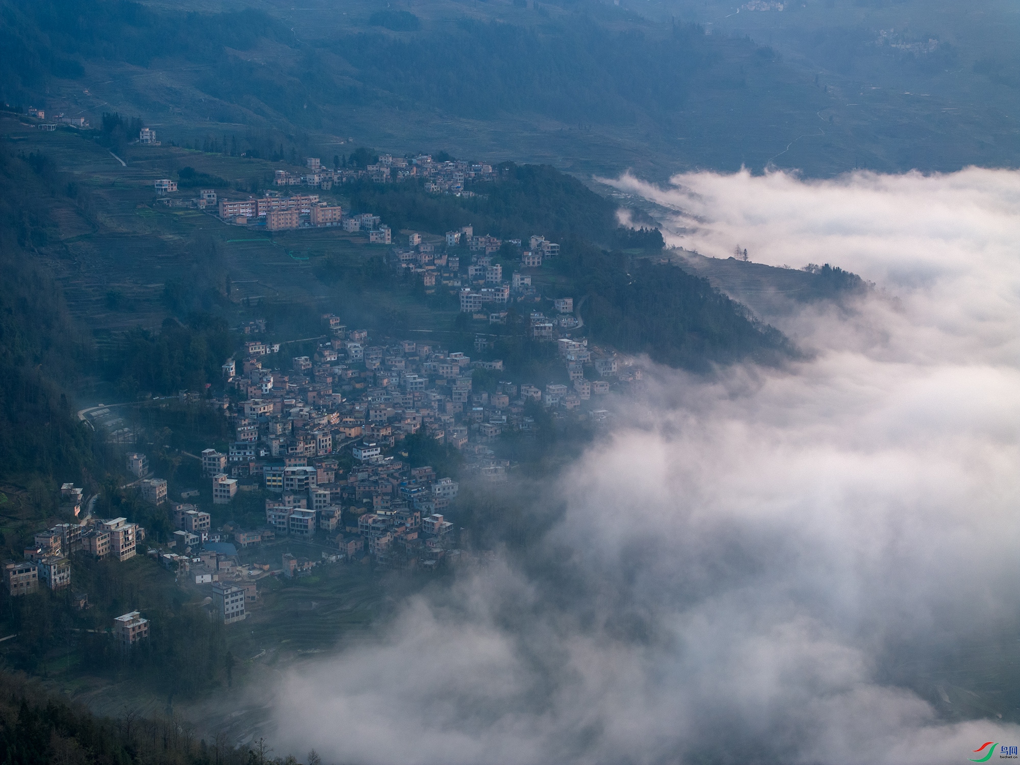 DJI_20250213185226_0027_D ����11.jpg