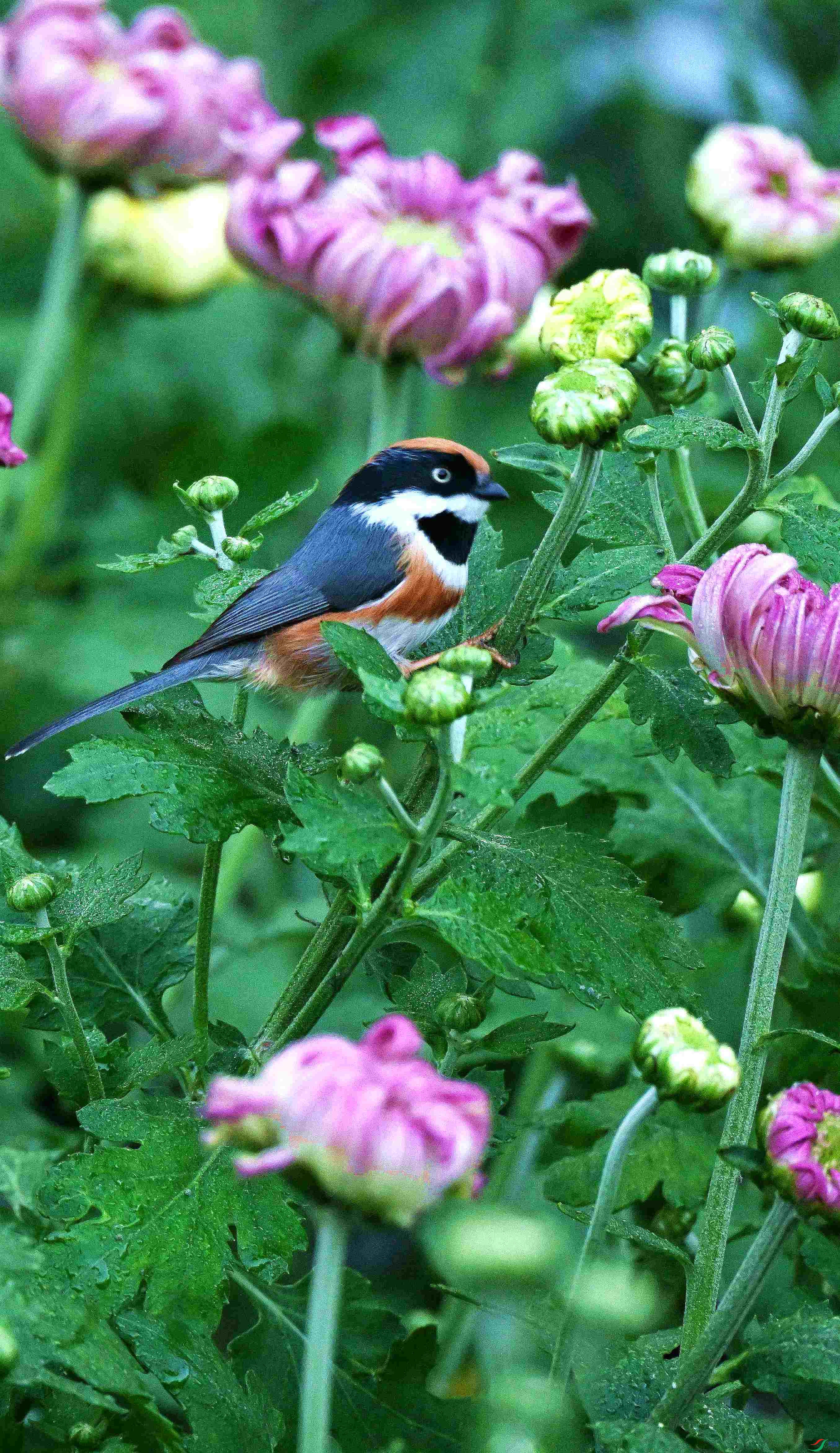 DSC_3406.jpg