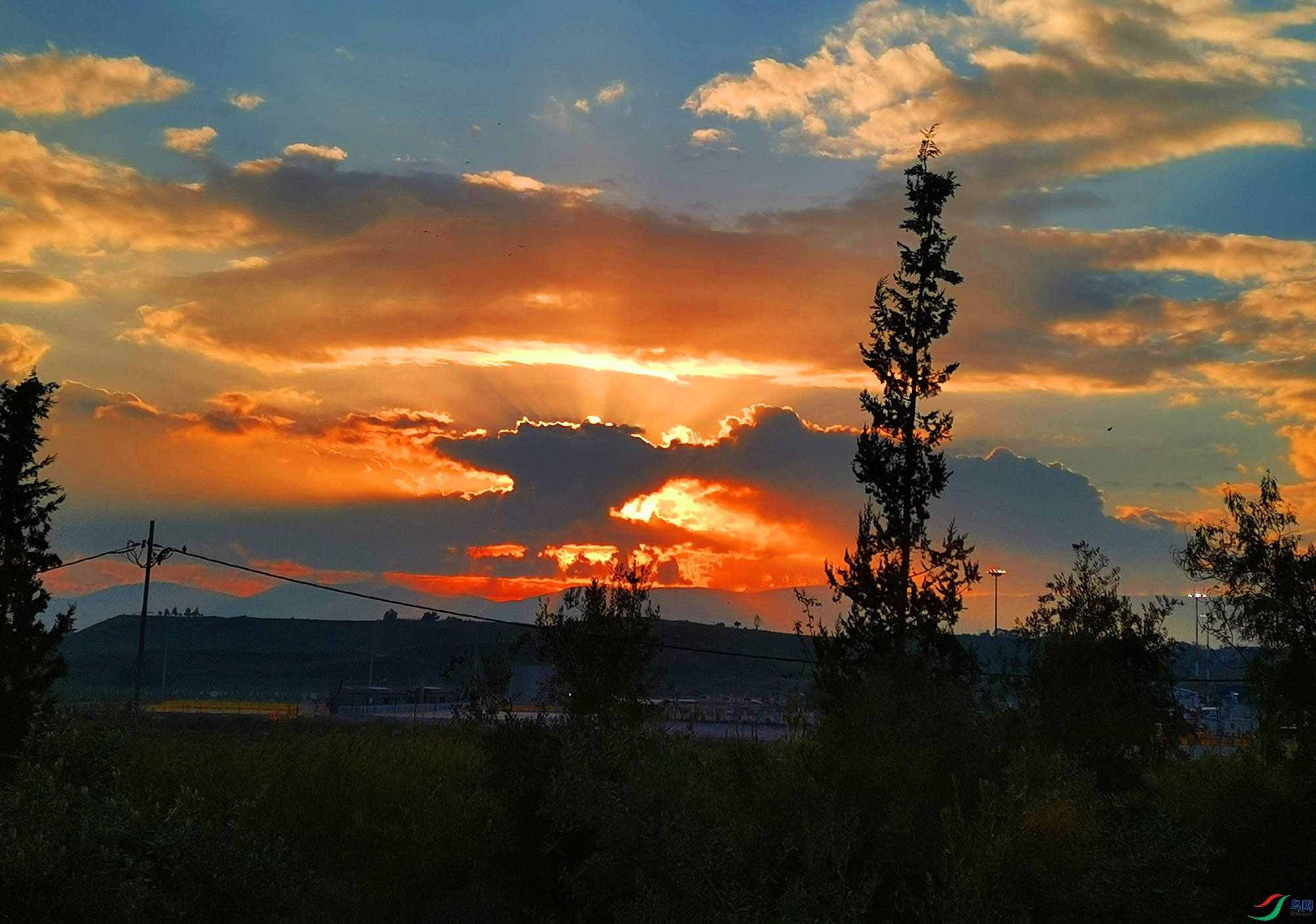 IMG_20200113_162013.jpg