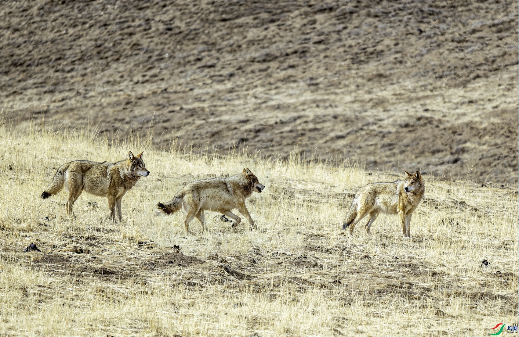 ���� (214)-1.jpg