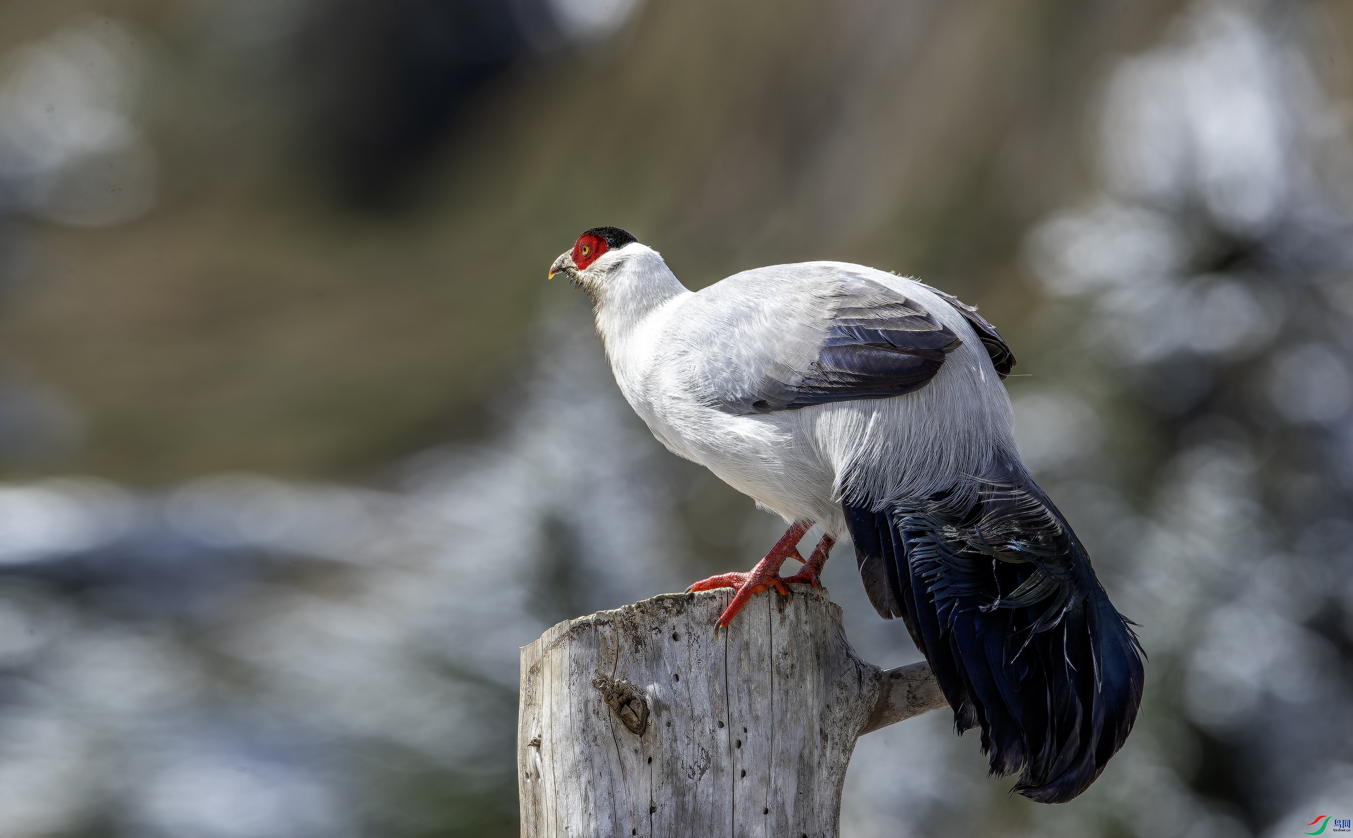 ������  (2)-1.jpg