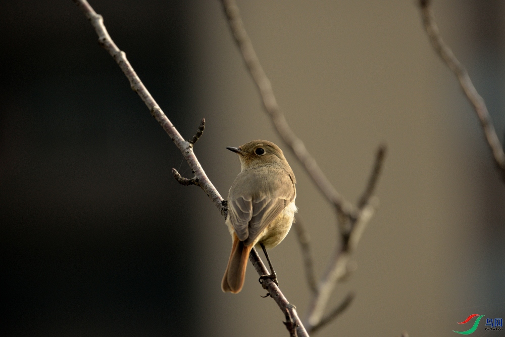 DSC_3977.JPG