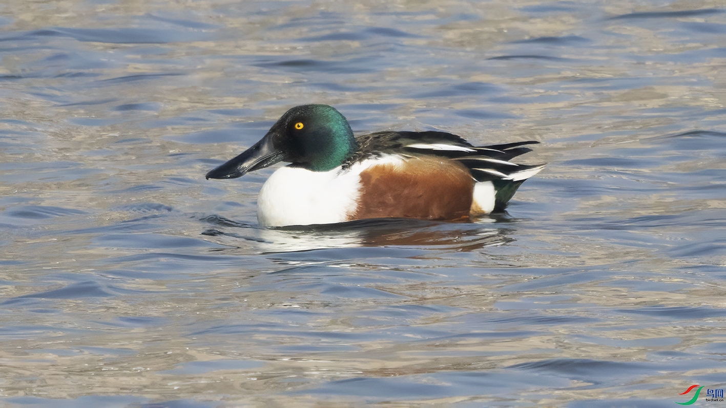 3U2A5137 ���� 2.jpg