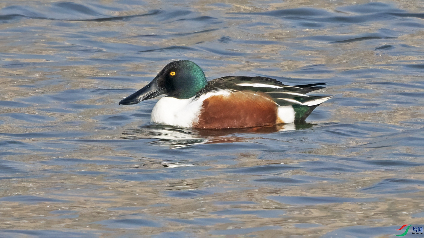 3U2A5162 ���� 2.jpg