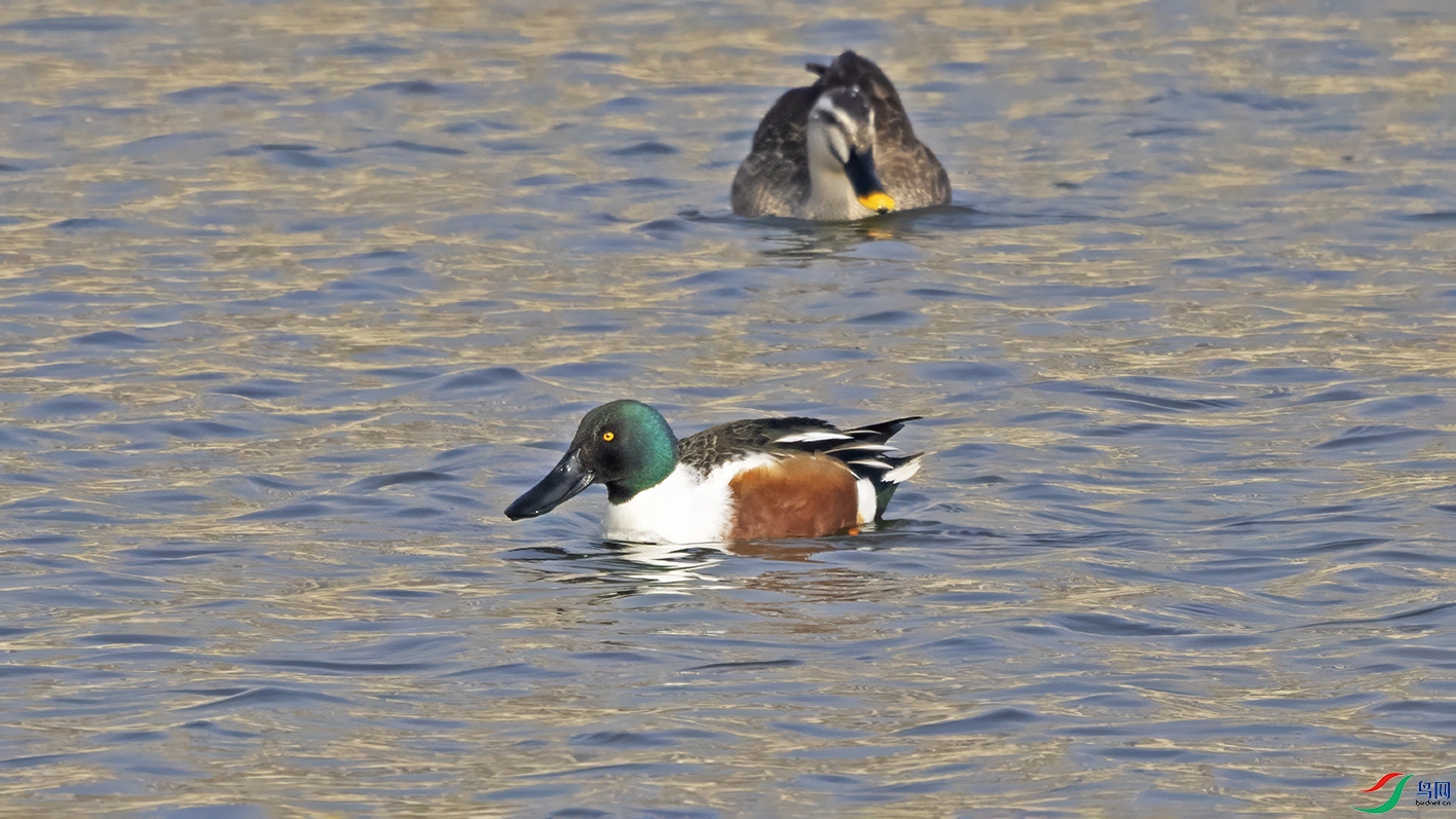 3U2A5015 ���� 2.jpg