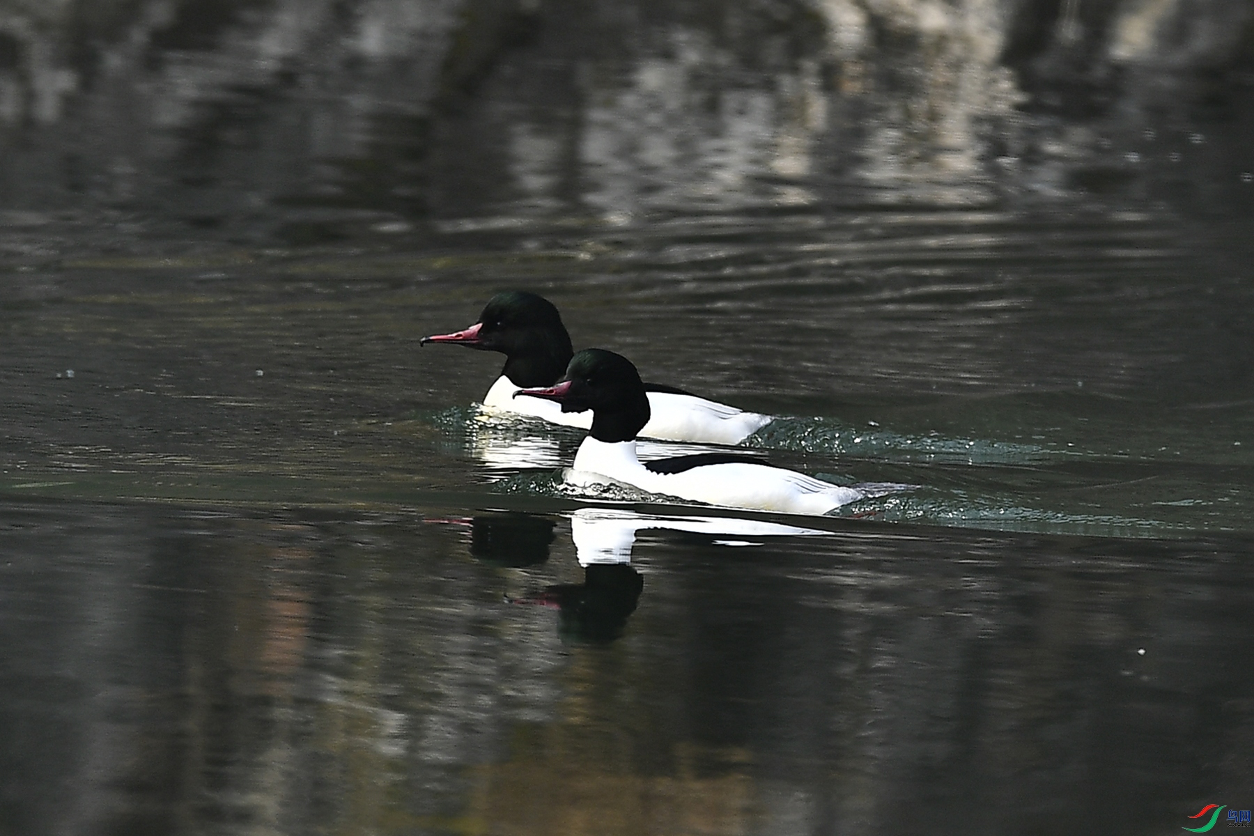 _SYL3930 ����.jpg