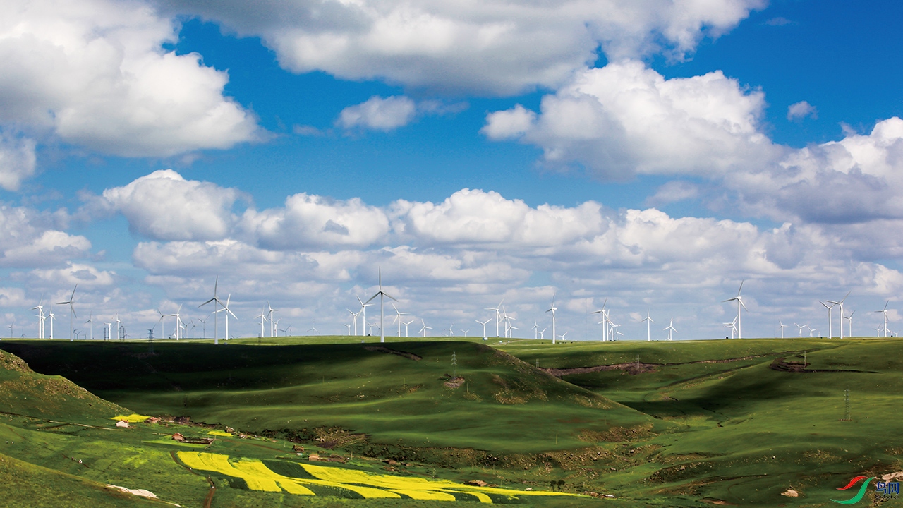 ���� (267).jpg