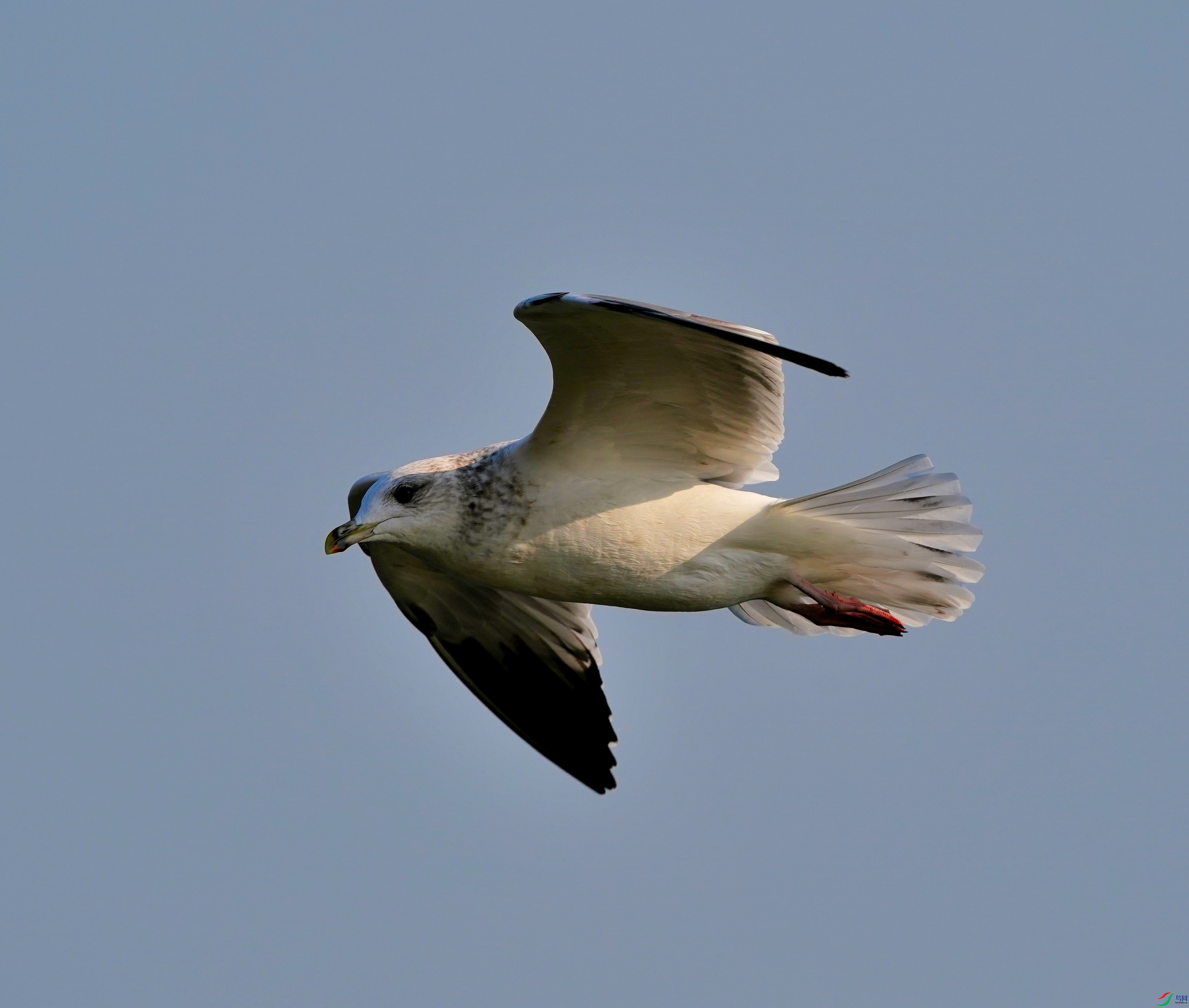 DSC04165.JPG