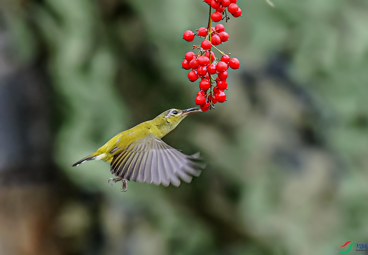 DSC_3496.jpg