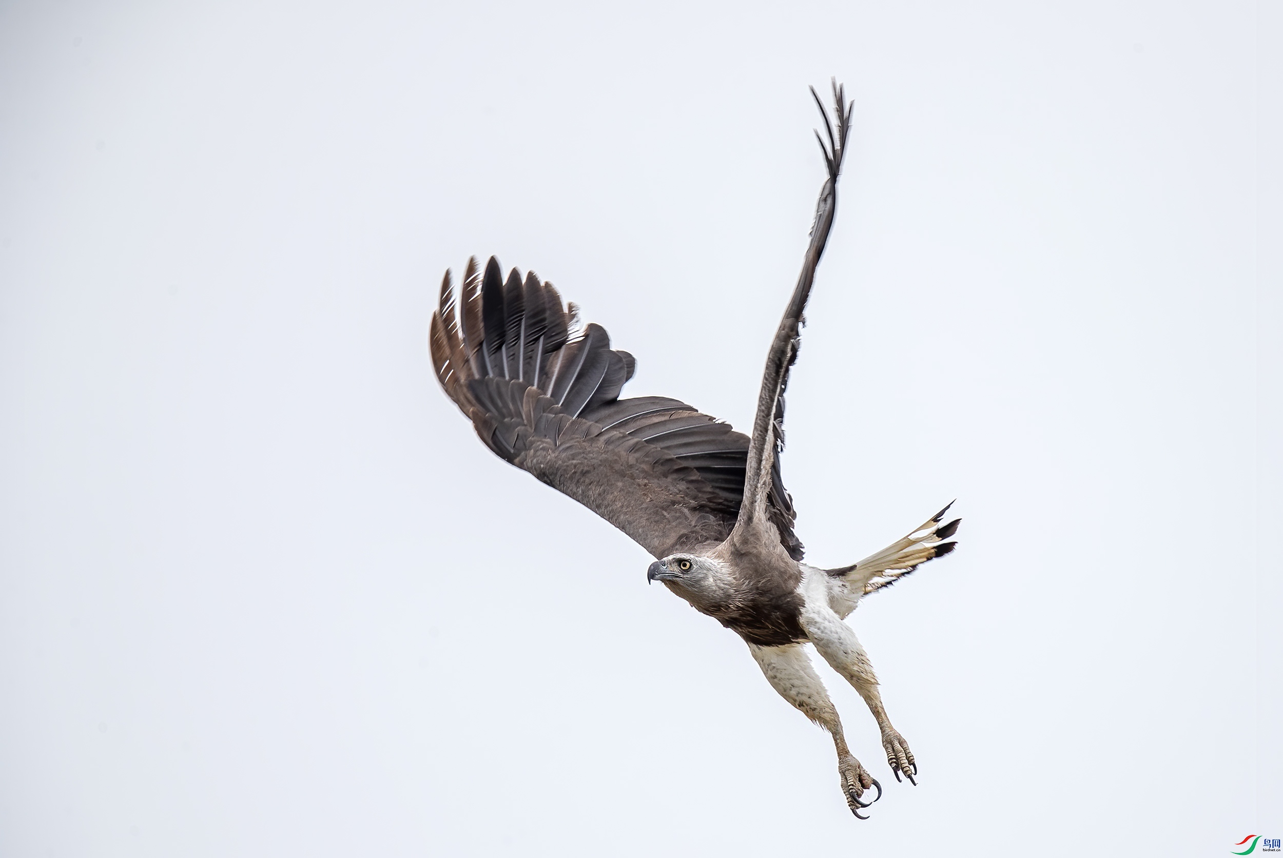 AC3I7008 ����.jpg