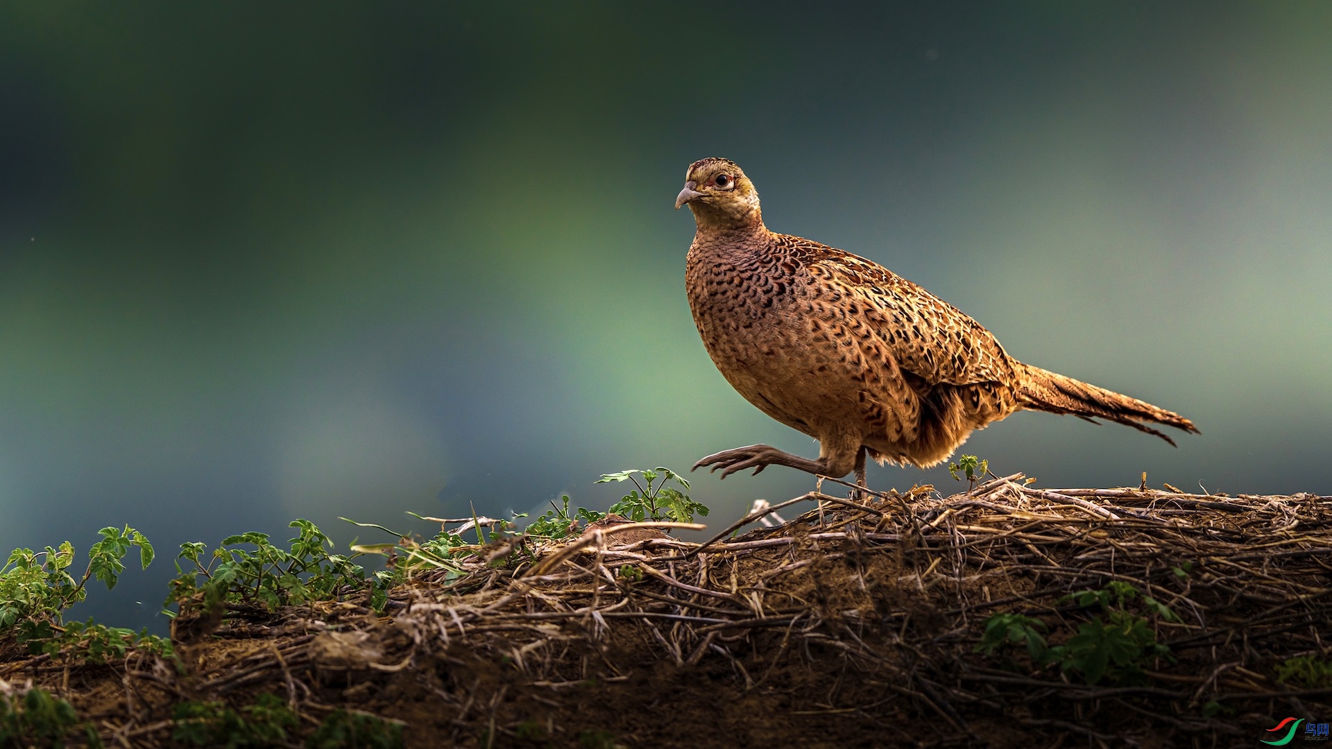 1_XXI2728 ����.jpeg