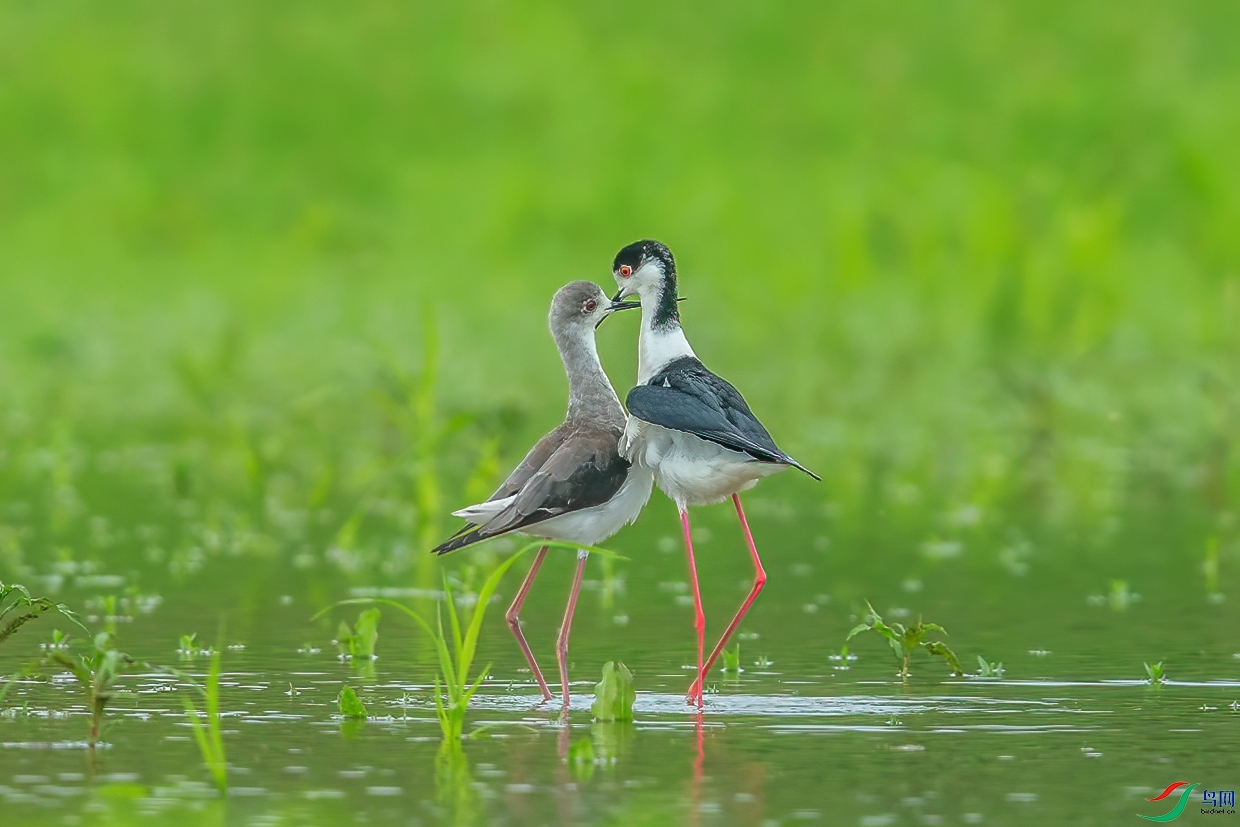 C09R0093 ����.jpg