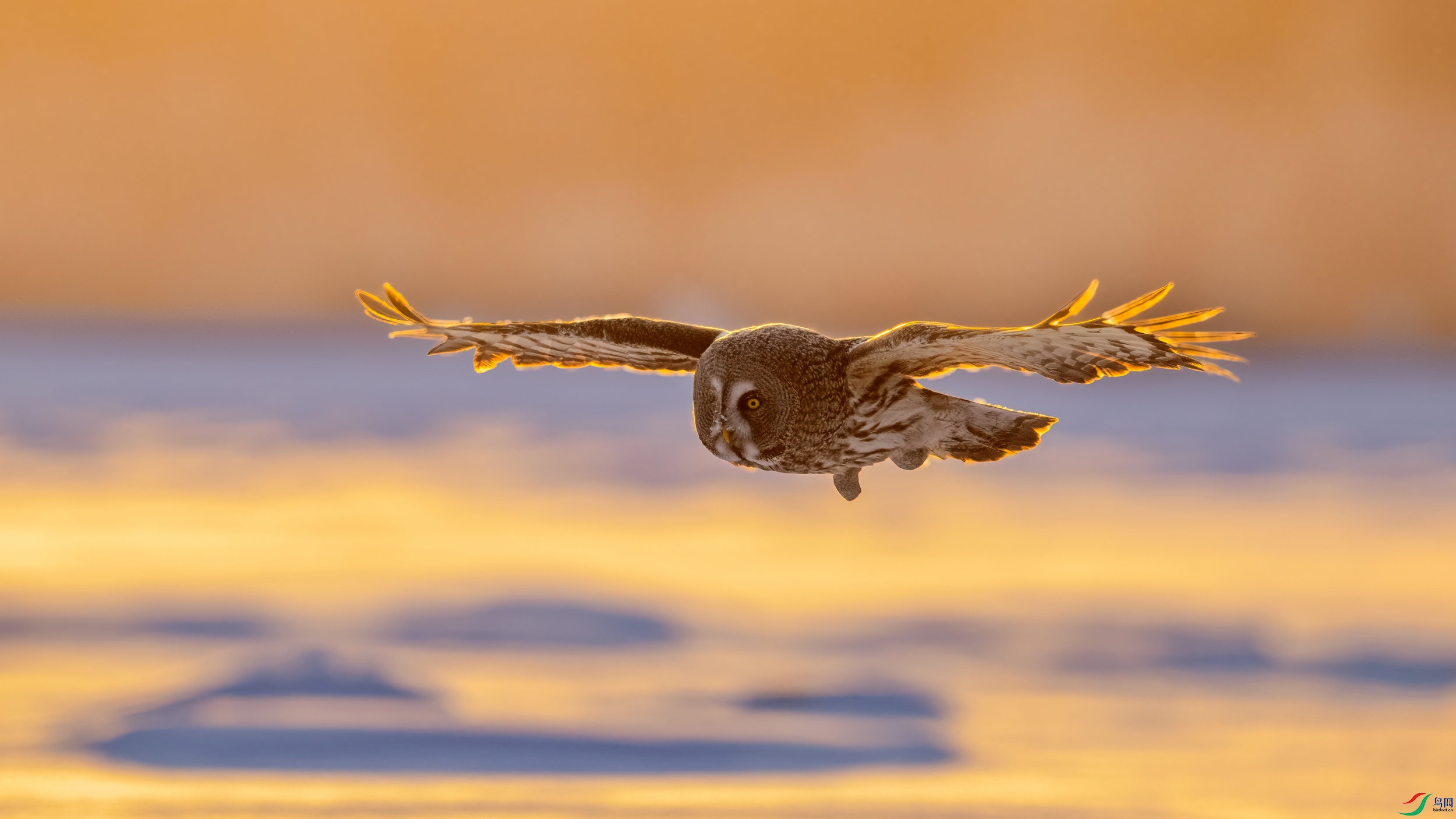 DSC_0002 ����01.jpg