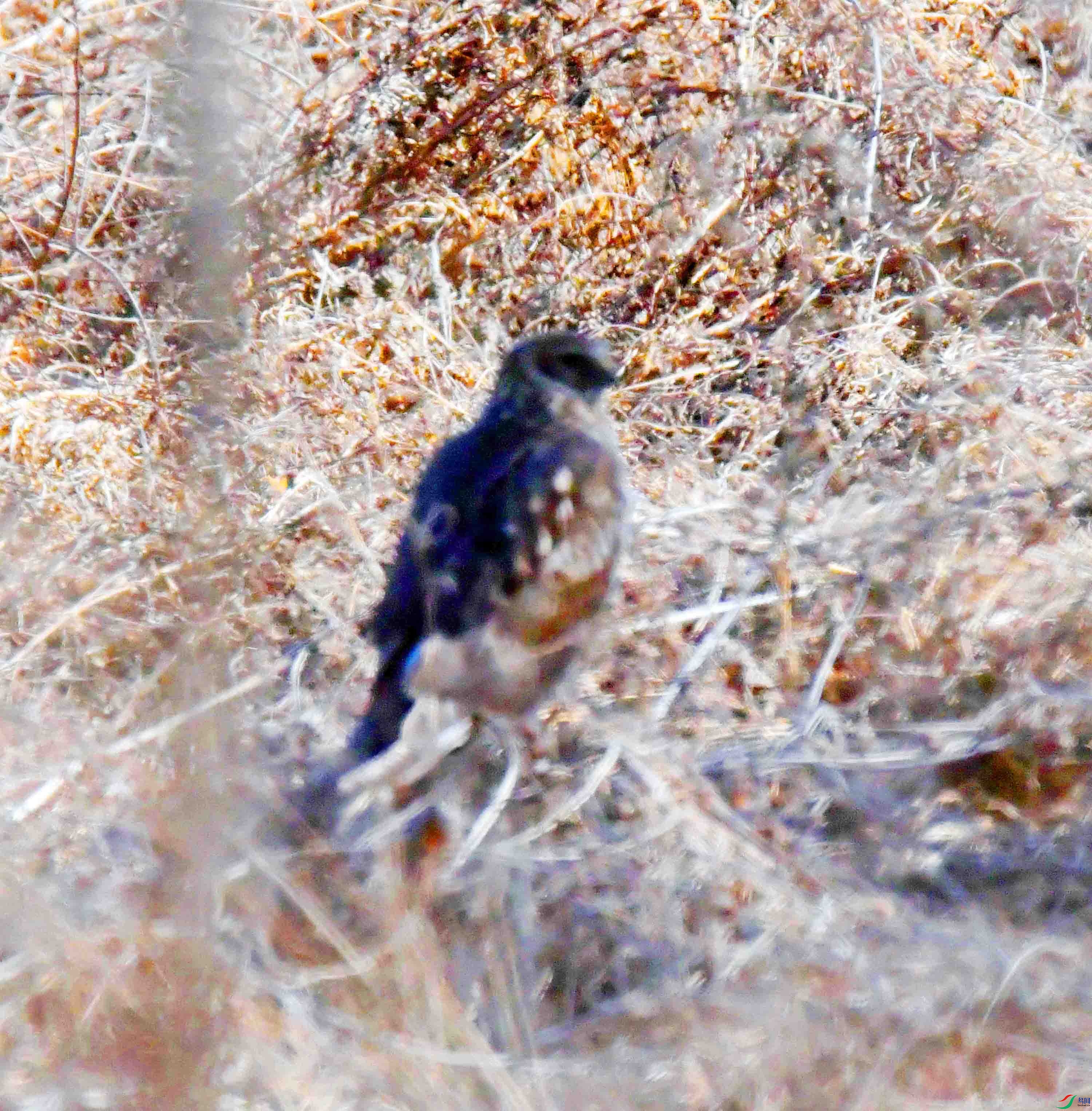 DSC_5743.JPG