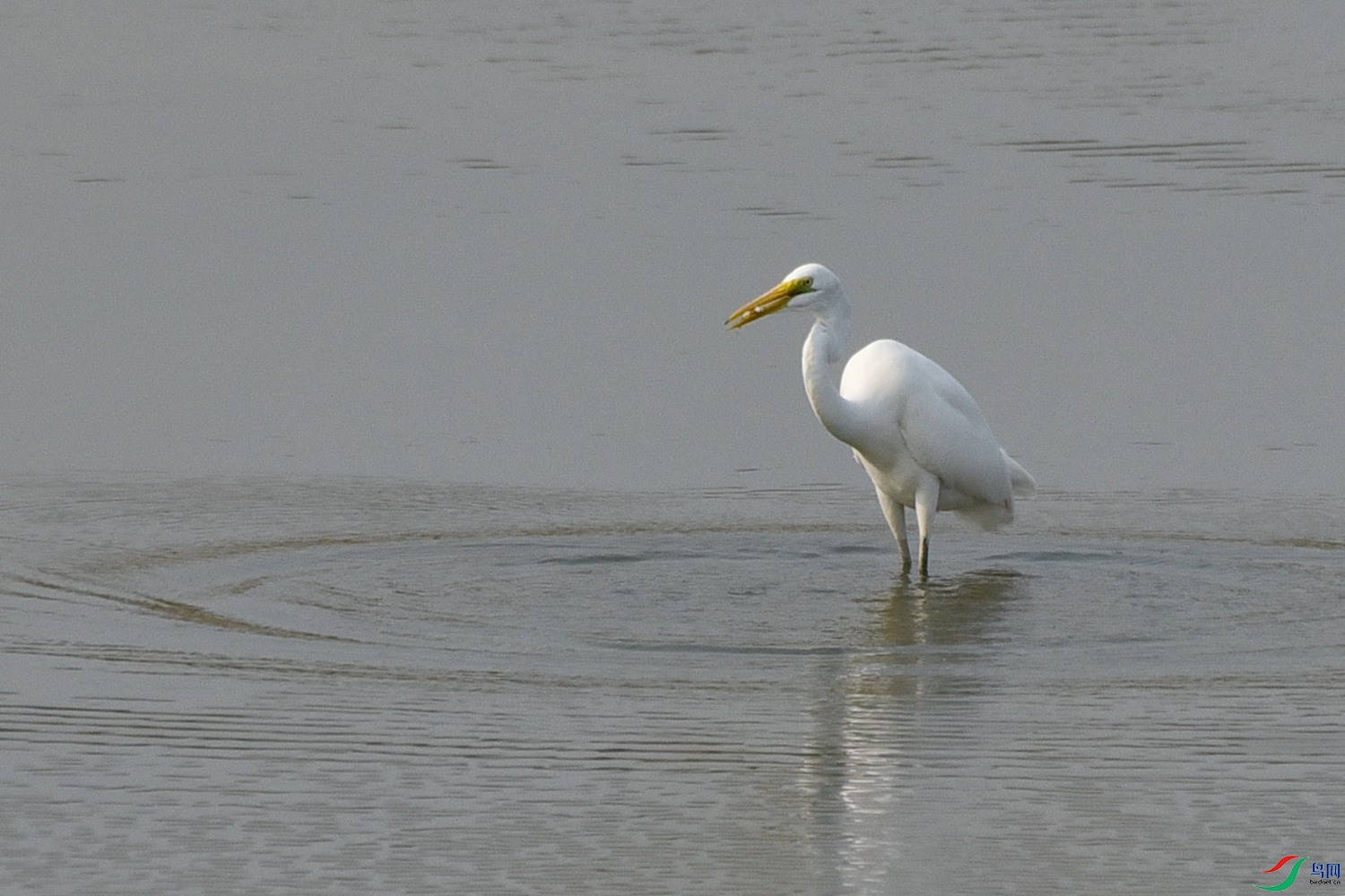DSC_3999.JPG