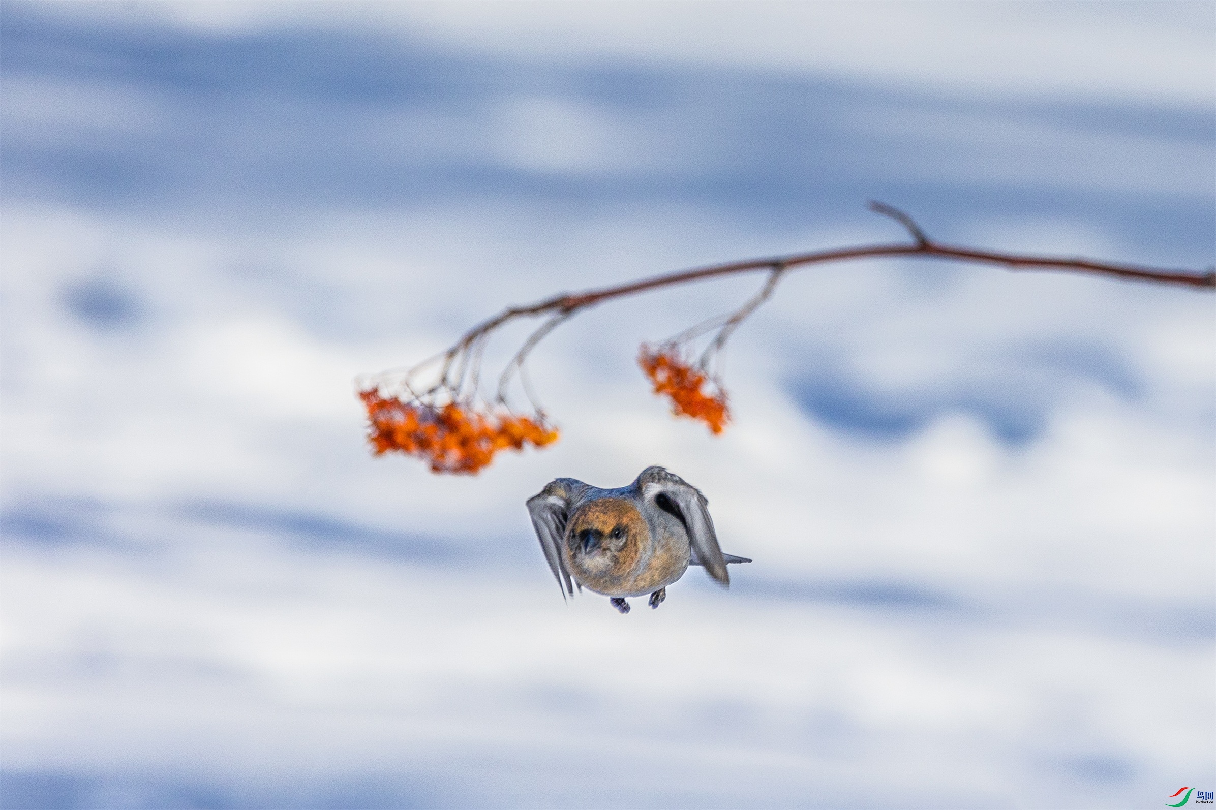 1K3A9664 ����2.jpg