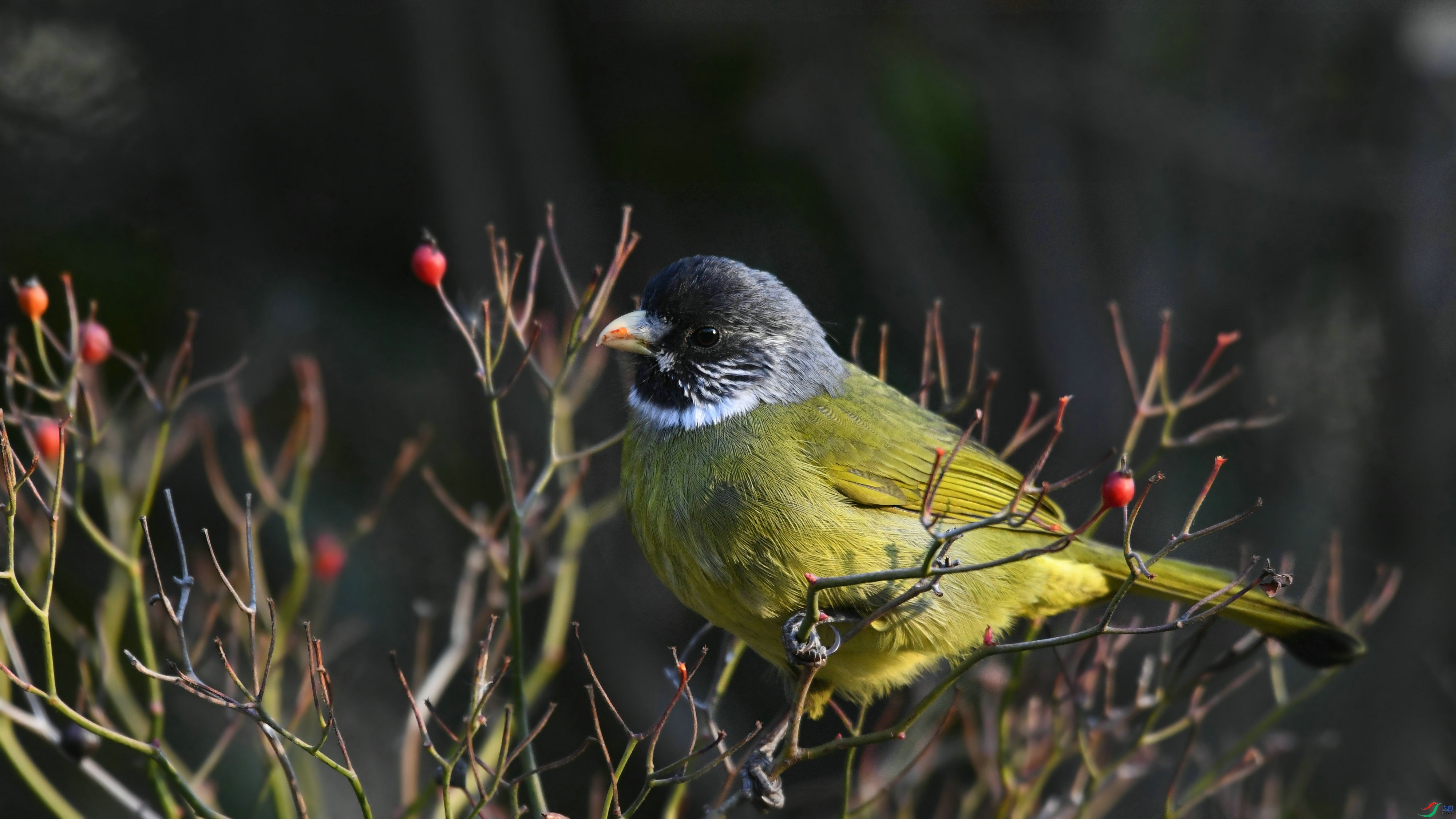 DSC_5582.JPG