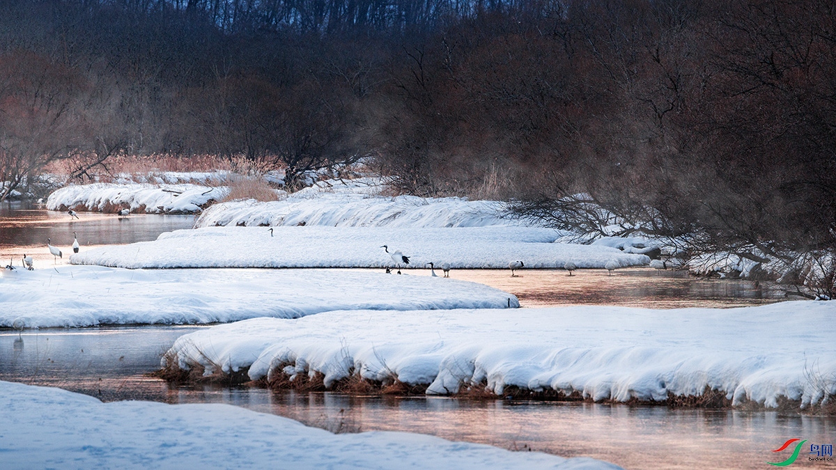 �������糿