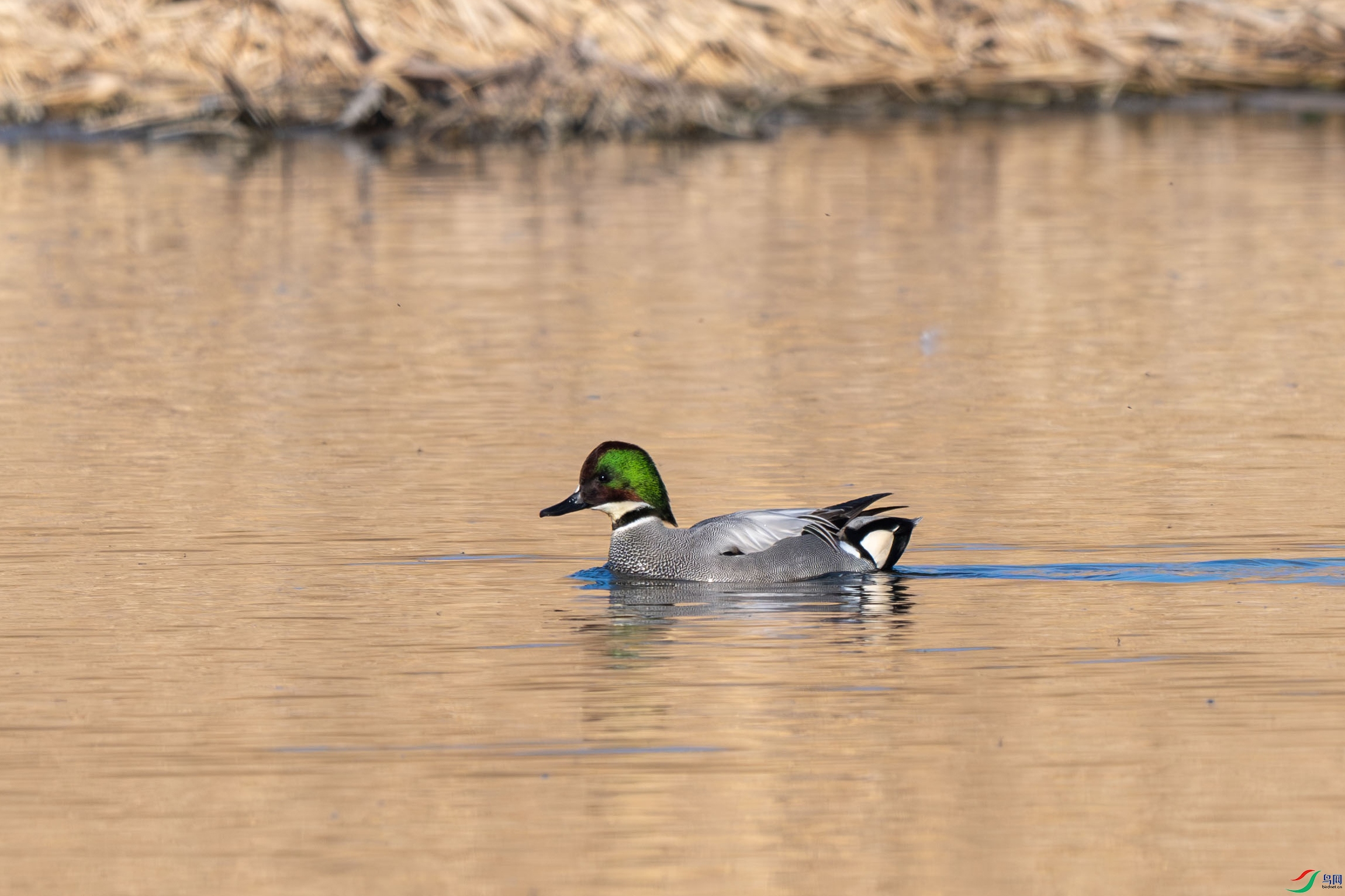 DSC_8212.jpg