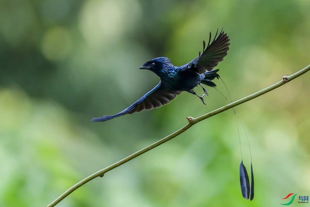 0F7A5566 ����.jpg