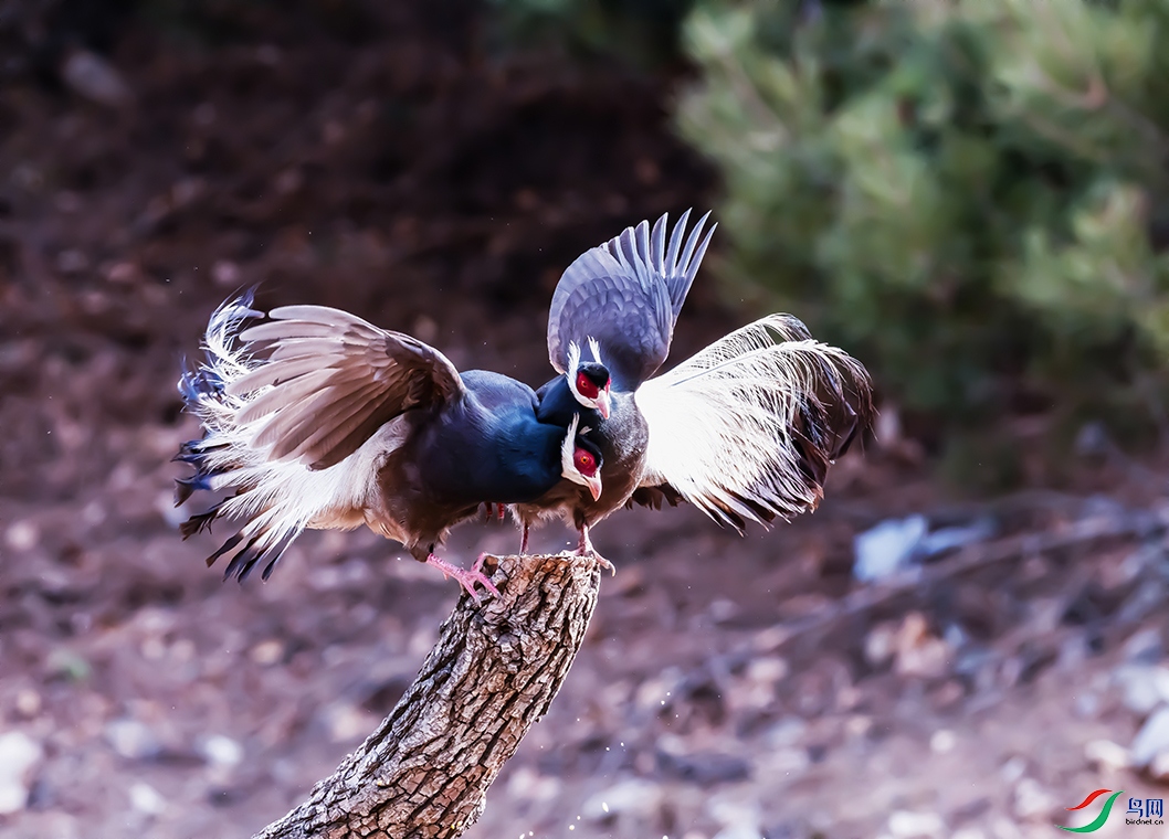 DSC_0131 ���� 2.jpg