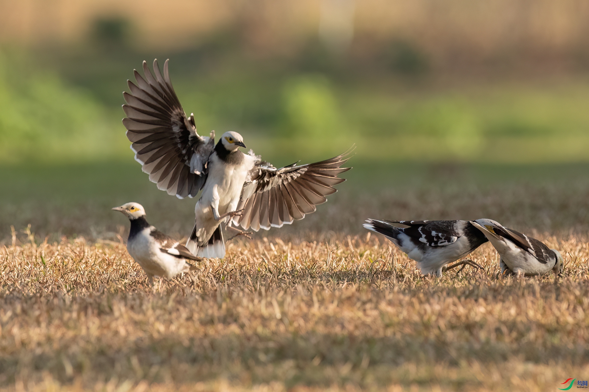 B86I6106 _����.jpg