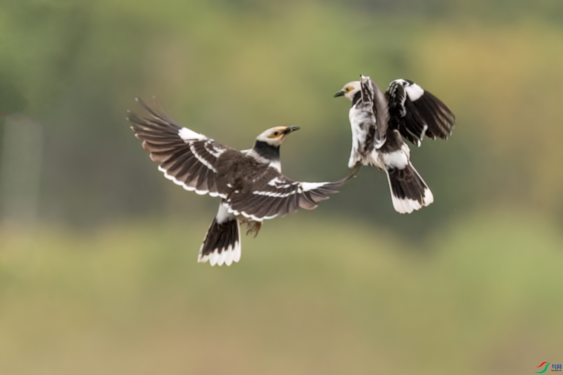 B86I4837 _����.jpg